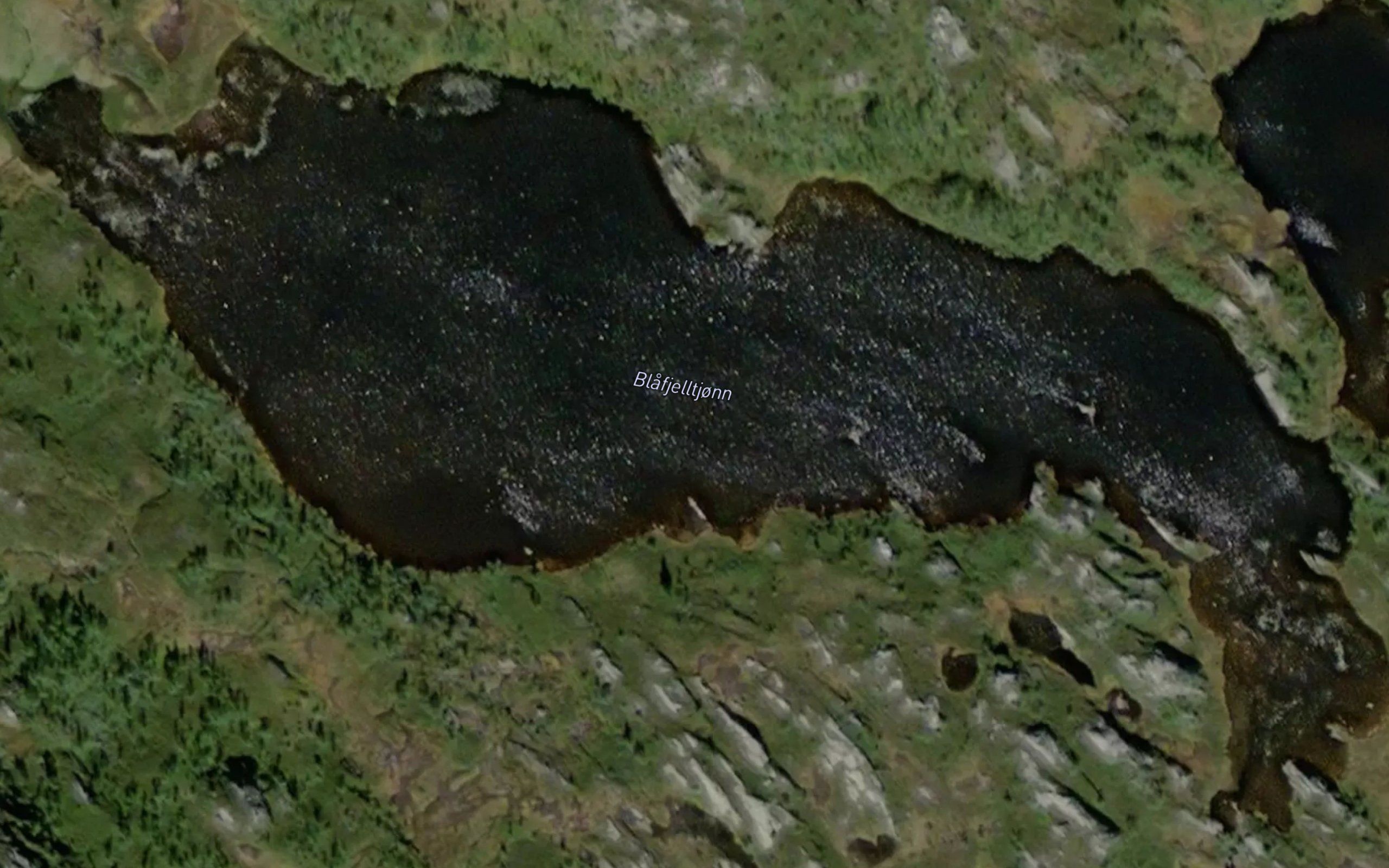 Blafjelltjonn
