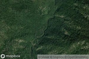 Prospector Creek