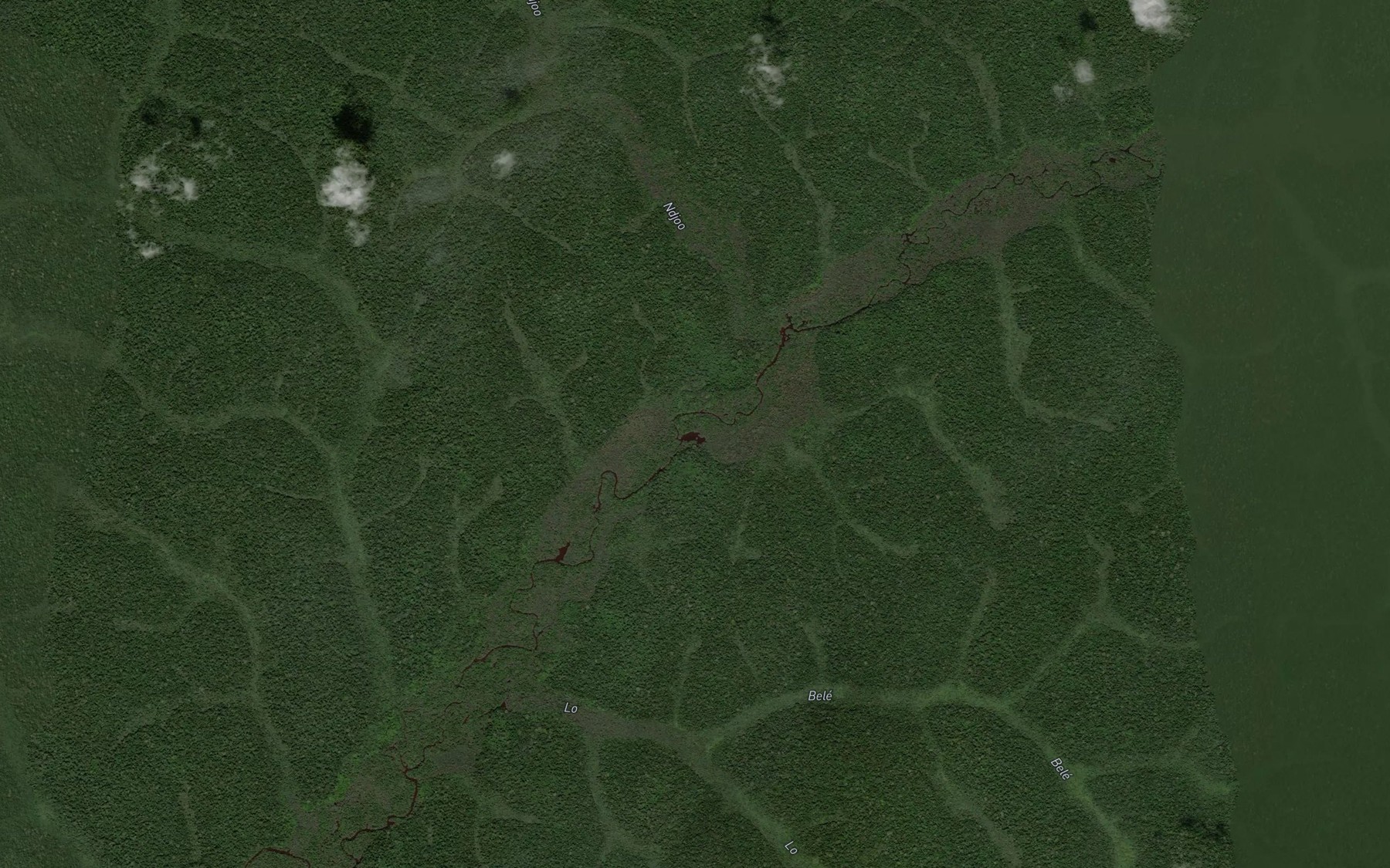 Satellite map of the Ndjoo