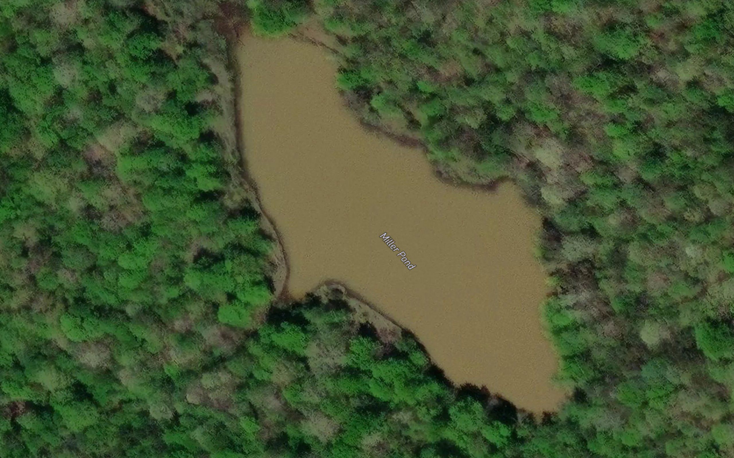 Miller Pond