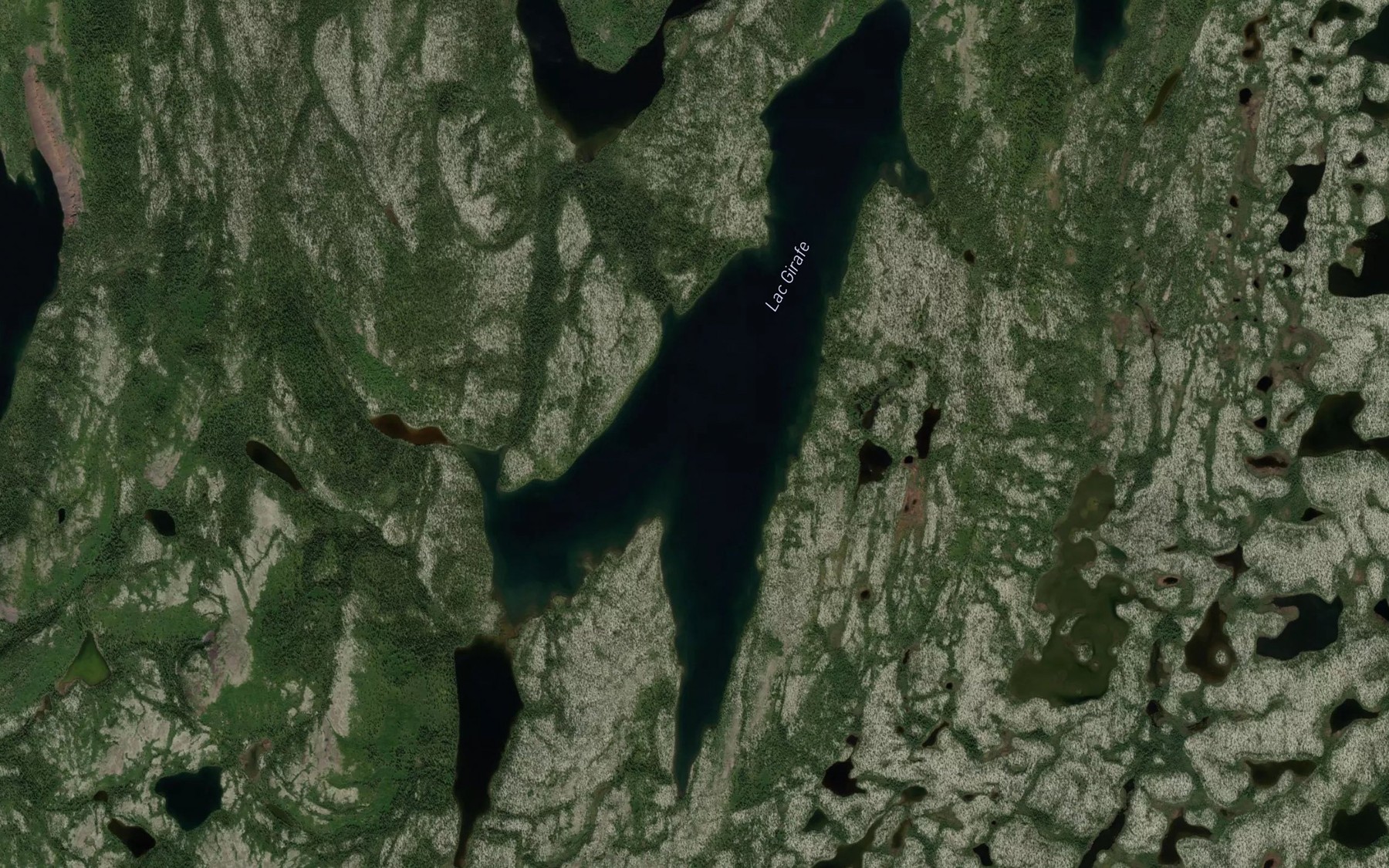 Satellite map of the Lac Girafe