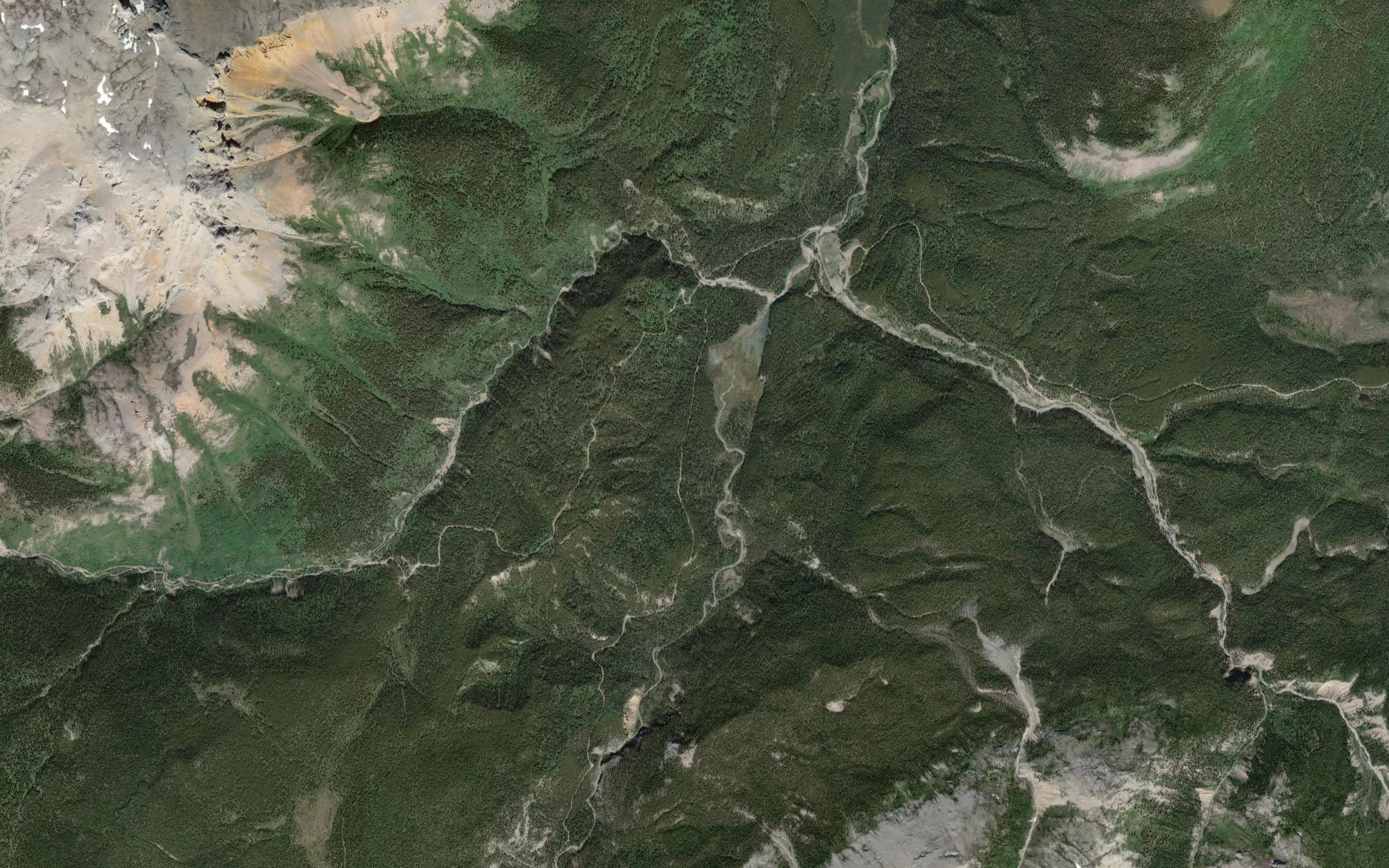 Tame Creek