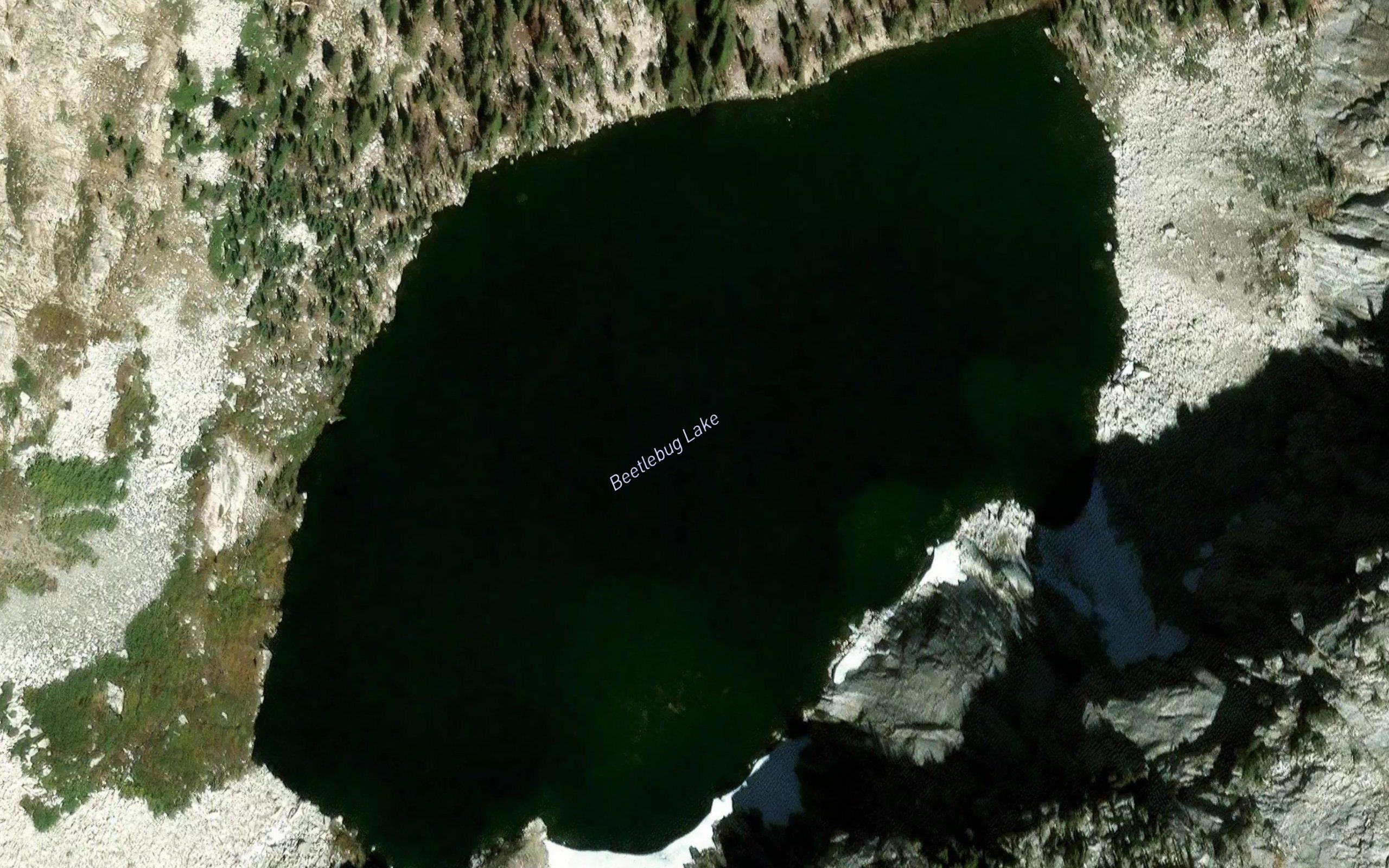 Beetlebug Lake