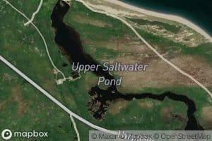 Upper Saltwater Pond