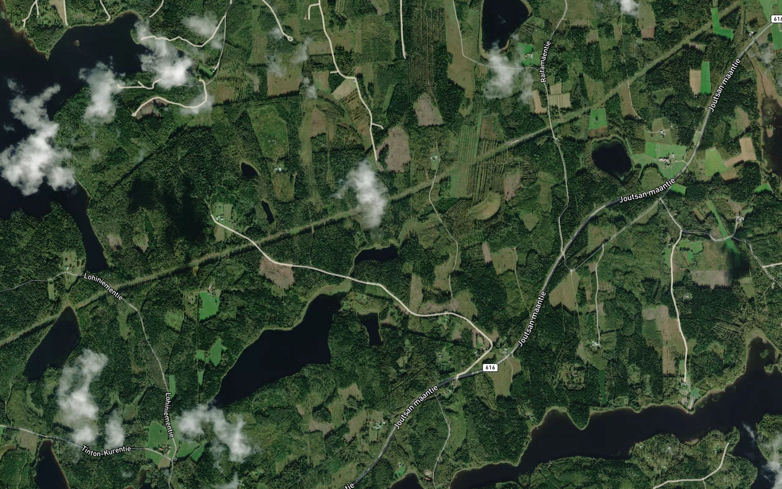 Leppoja