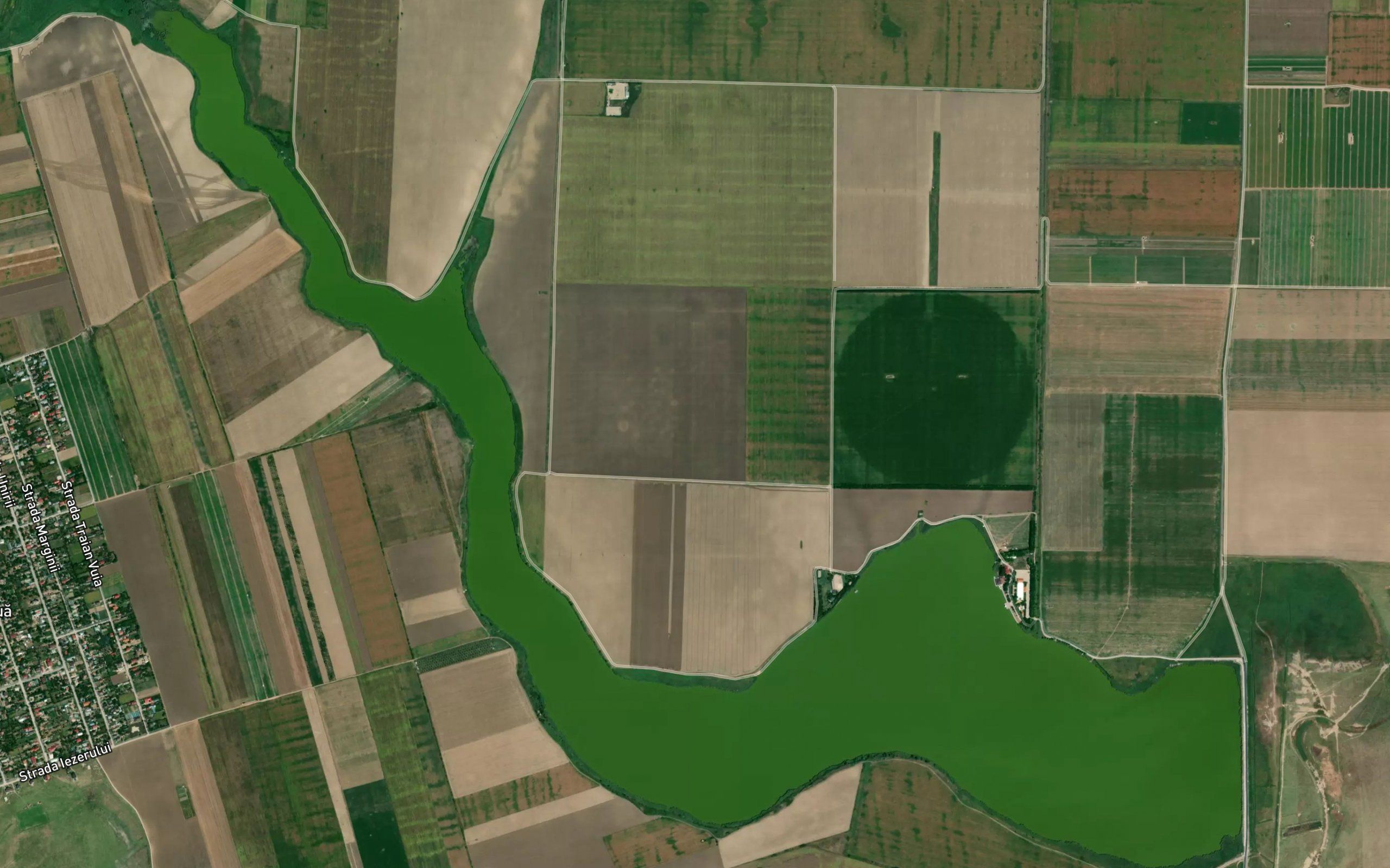Lacul Gheorghe Lazar