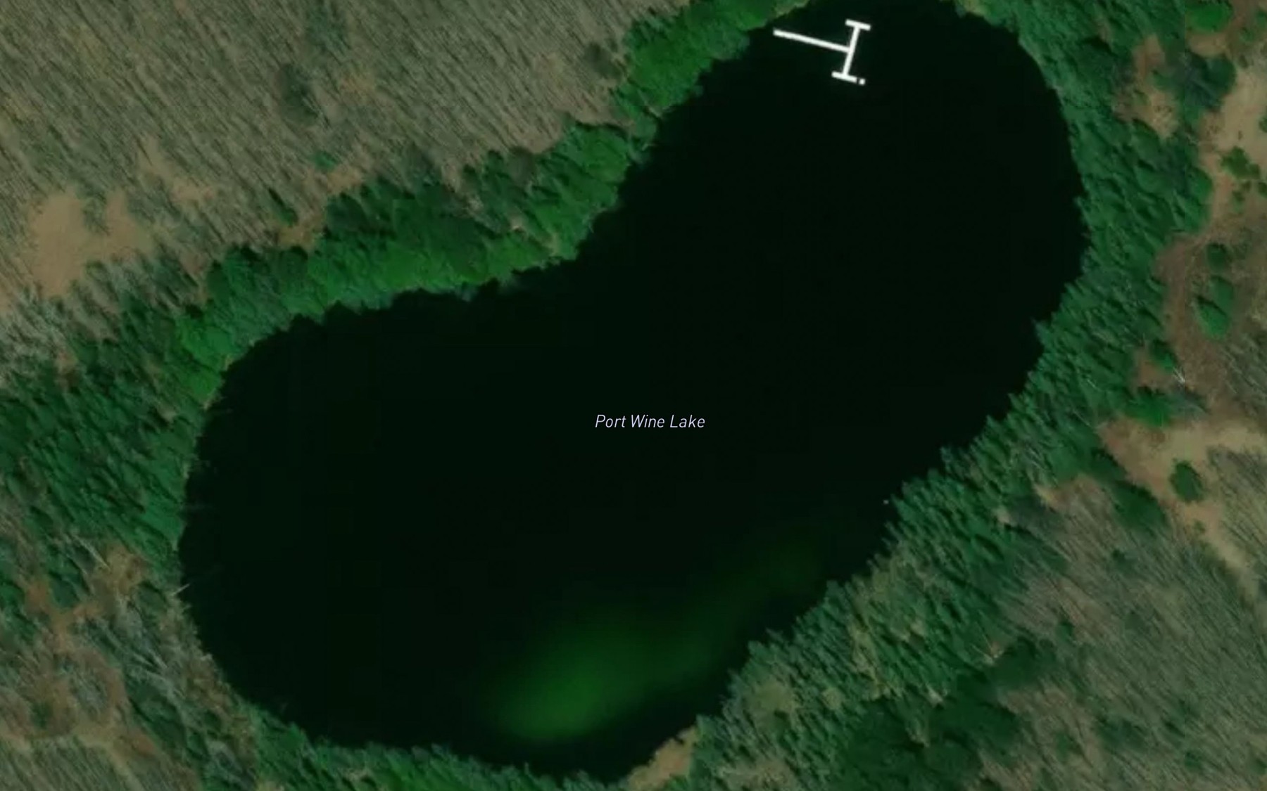 Satellite map of the Port Wine Lake