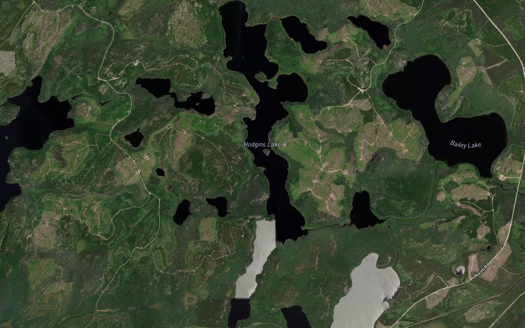 Satellite map of the Hodgins Lake