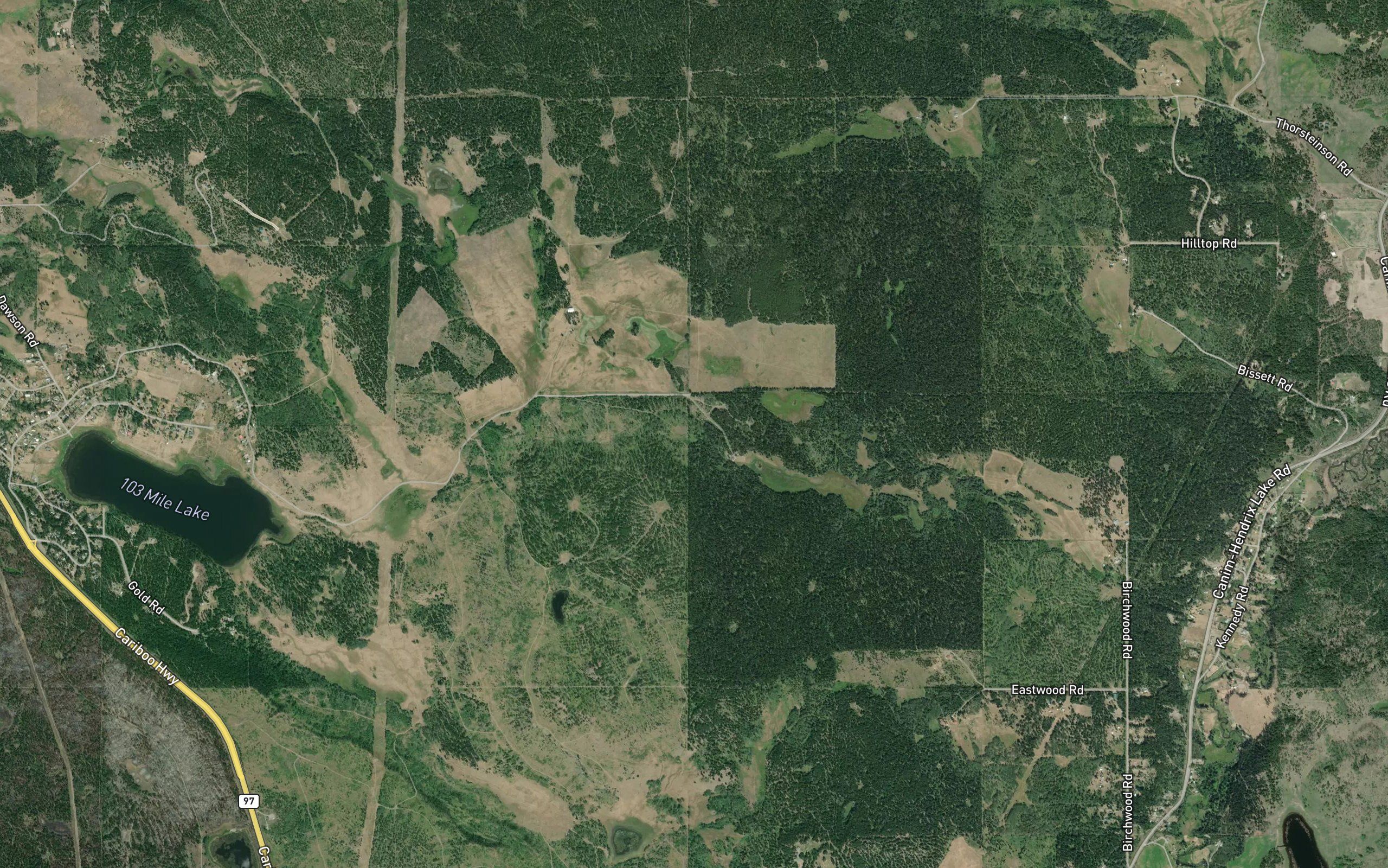 Foxtail Lake
