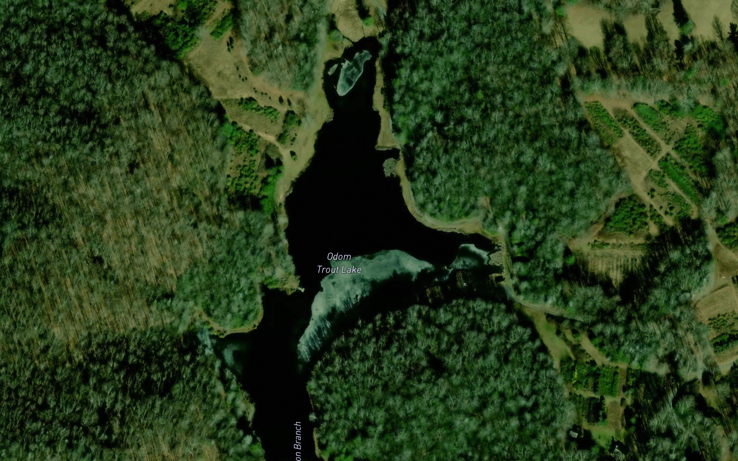 Odom Trout Lake