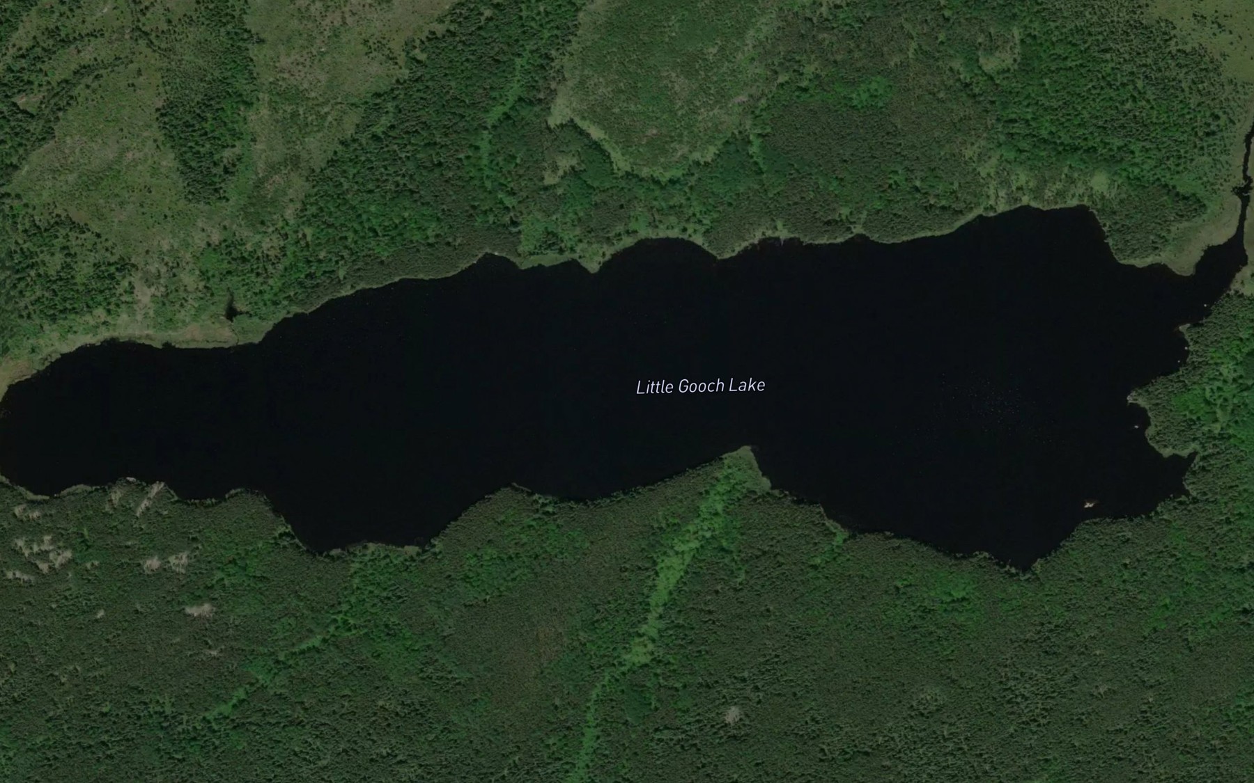 Satellite map of the Little Gooch Lake