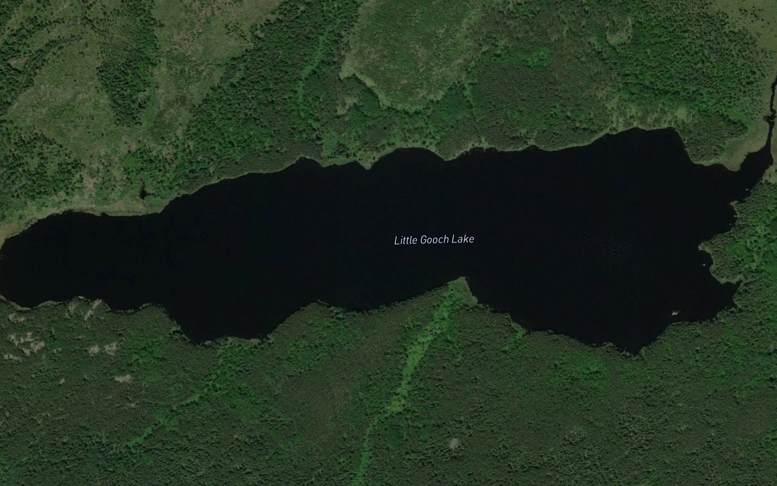 Little Gooch Lake