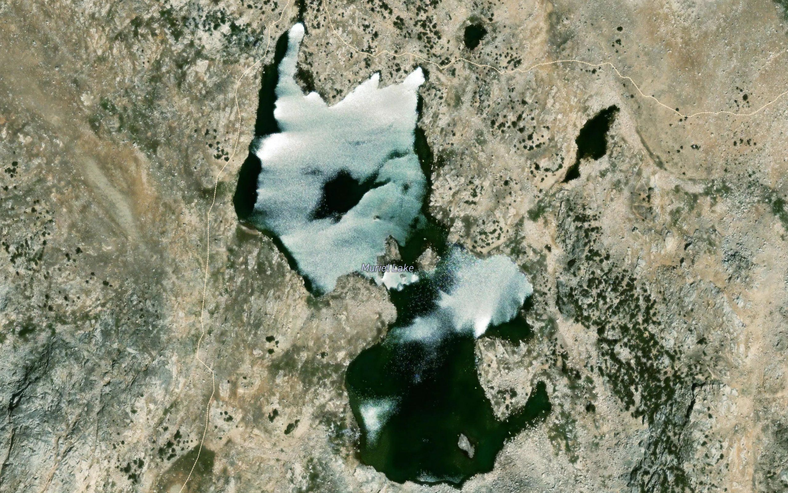 Muriel Lake