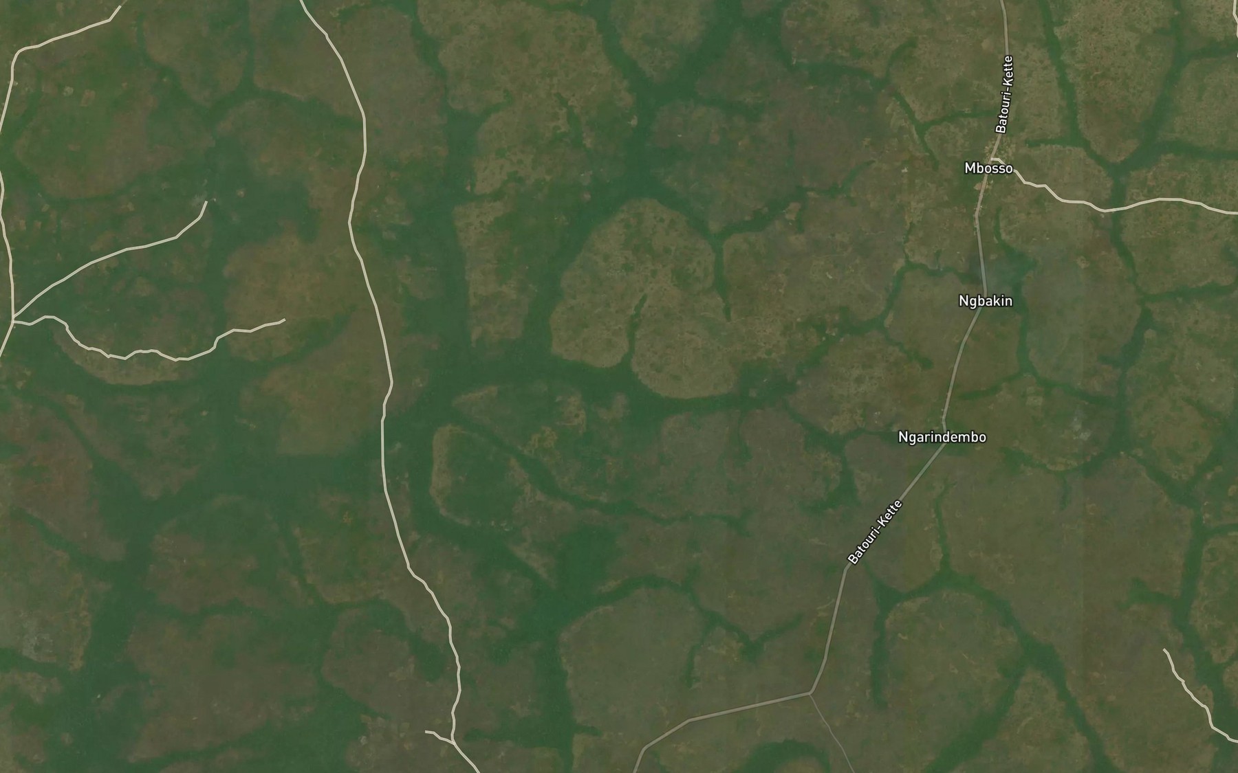 Satellite map of the Mengong