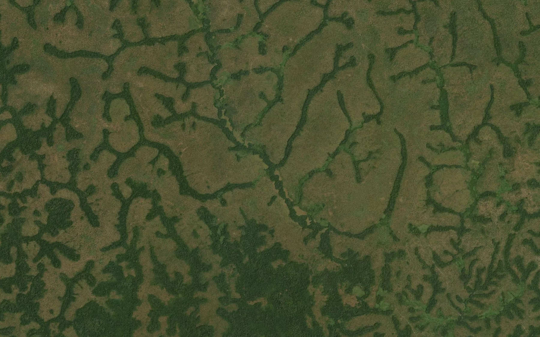 Satellite map of the Gamaka