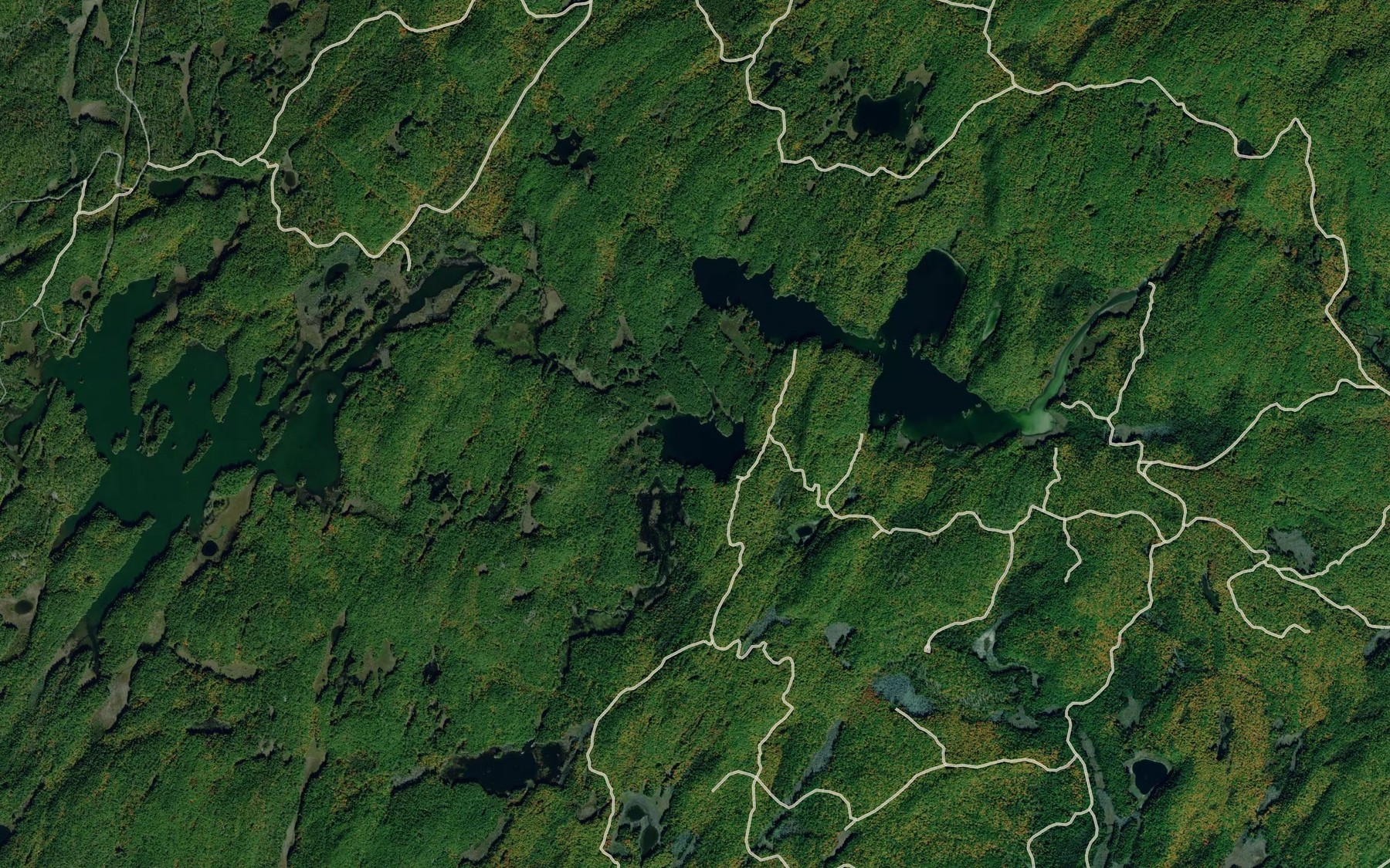 Satellite map of the Perch Lake