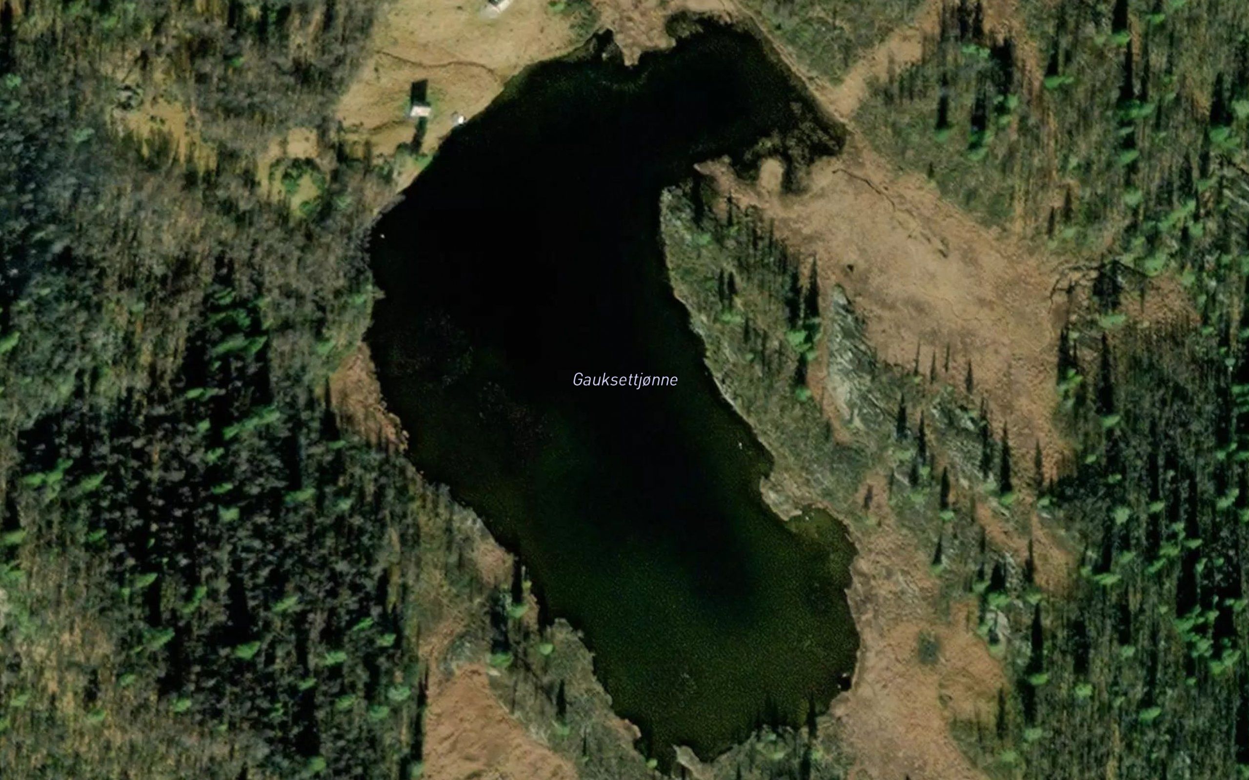 Gauksettjorni
