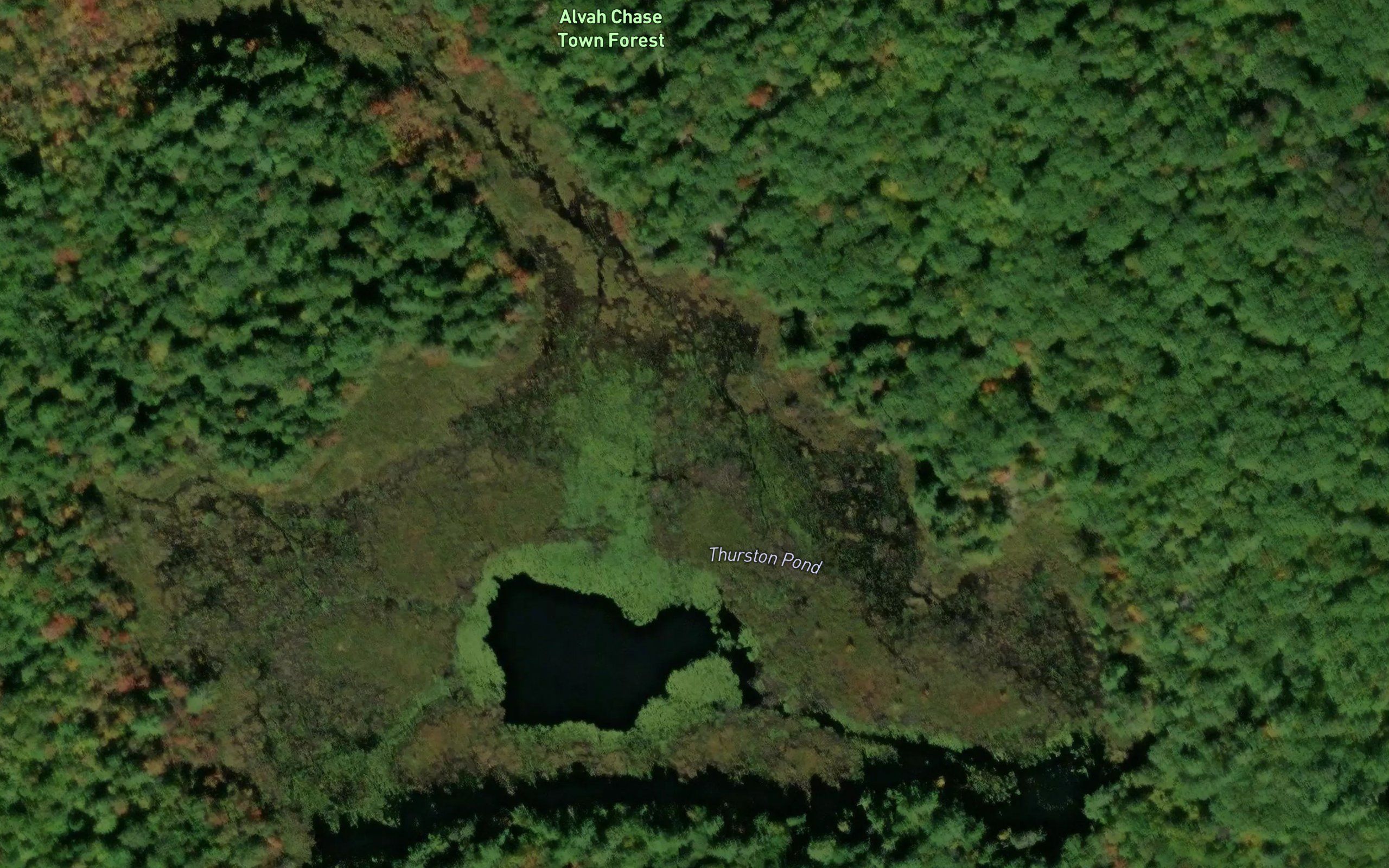 Thurston Pond