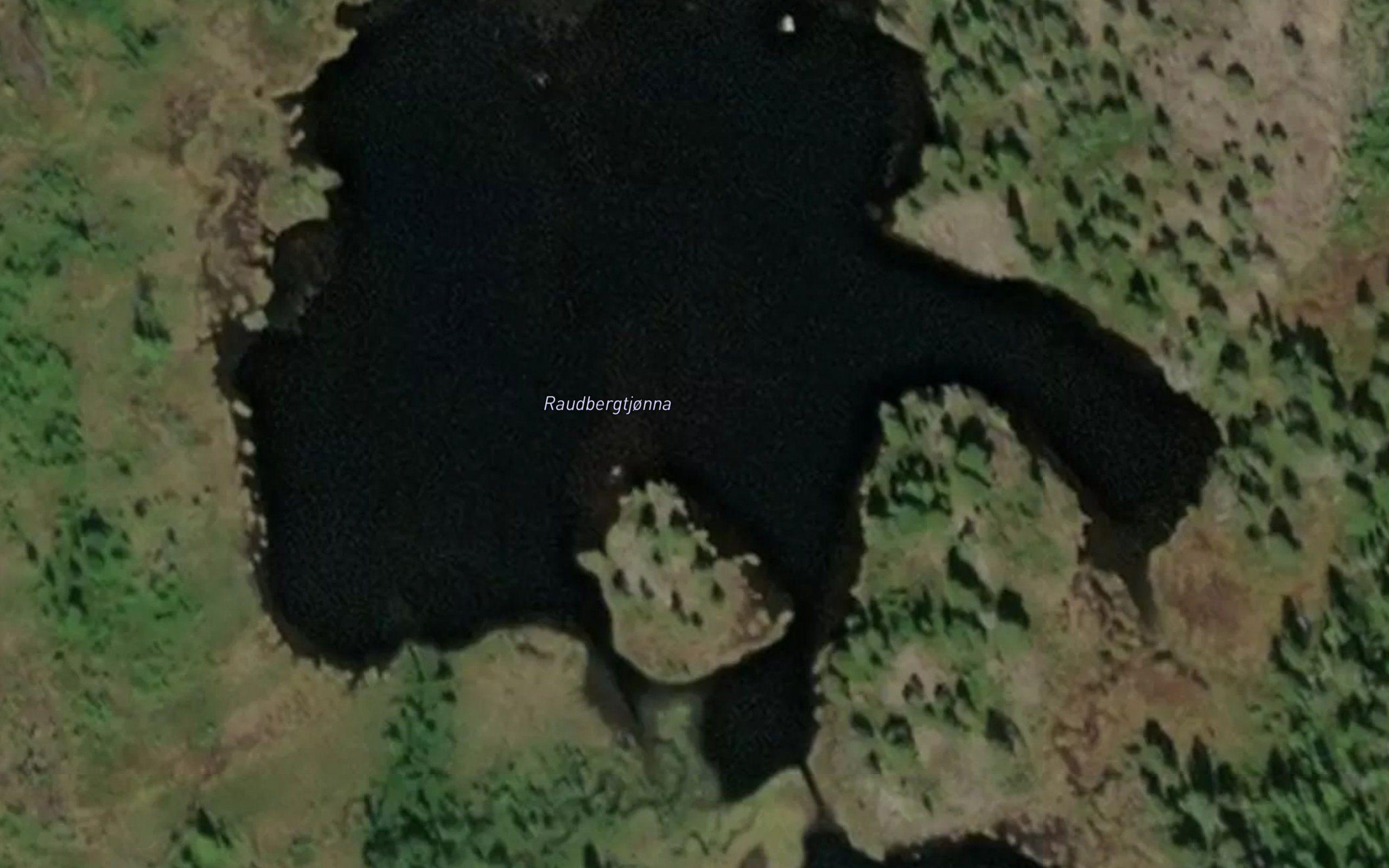 Raudbergtjorna