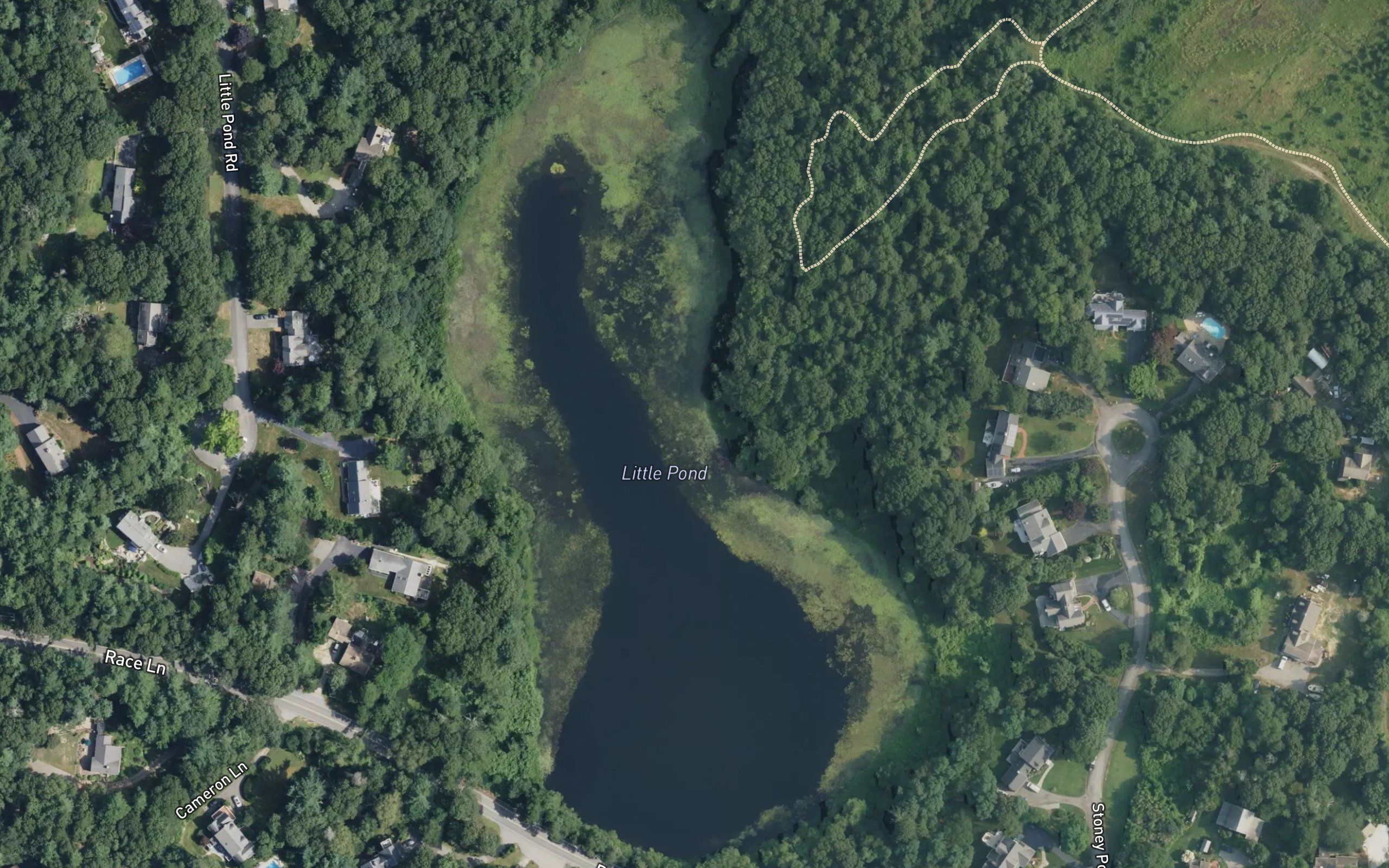 Little Pond