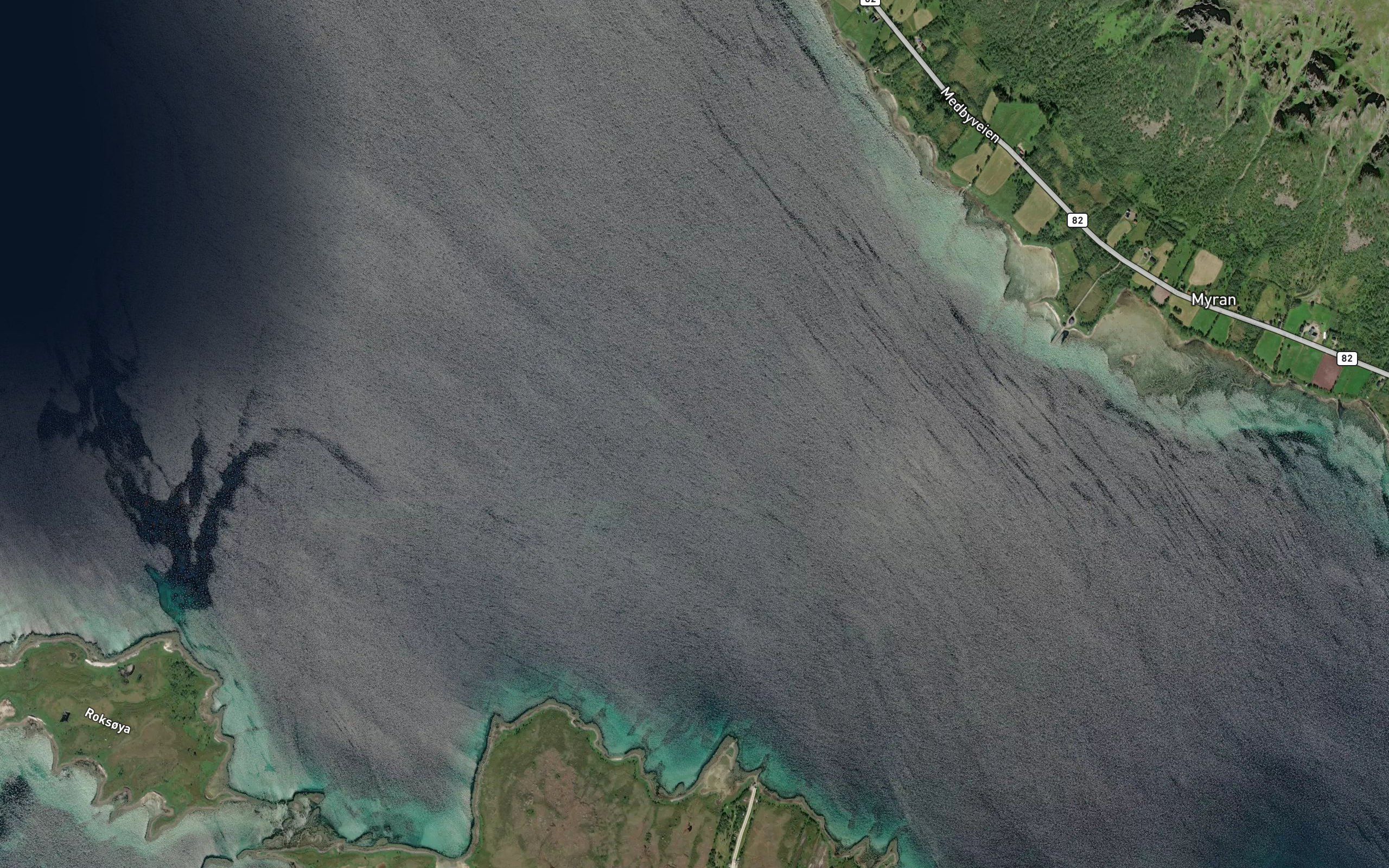 Forfjorden