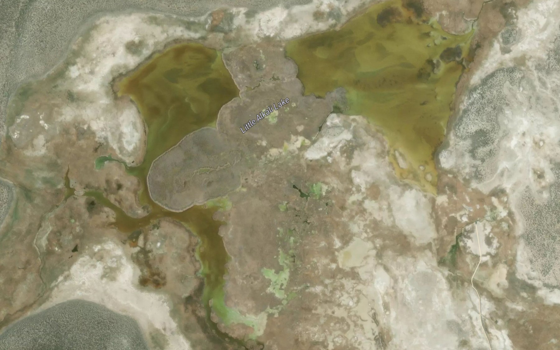Satellite map of the Little Alkali Lake