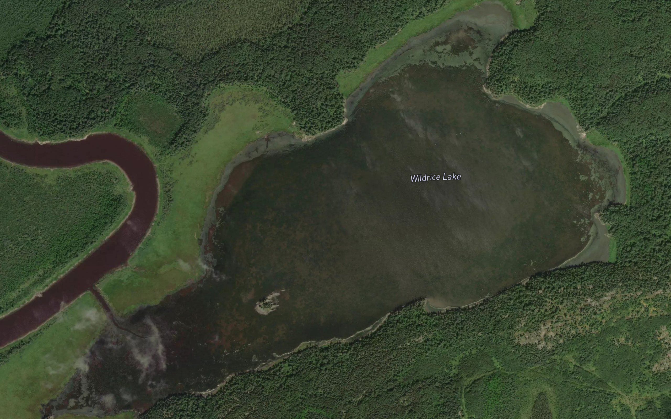 Wildrice Lake