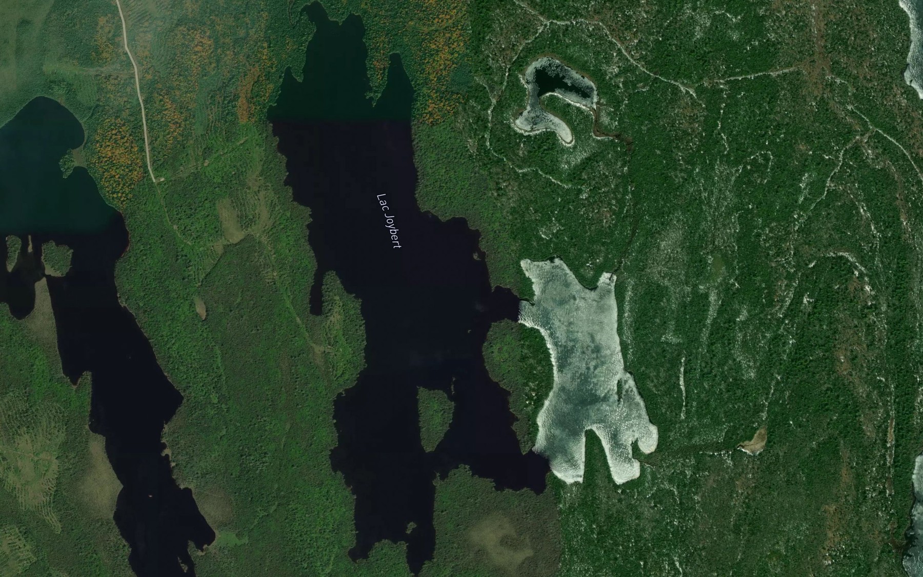 Satellite map of the Lac Joybert