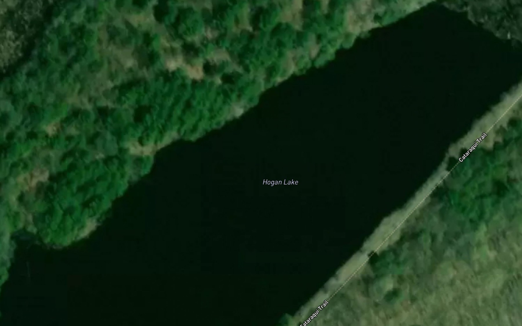 Satellite map of the Hogan Lake