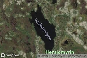 Vesleoyangen