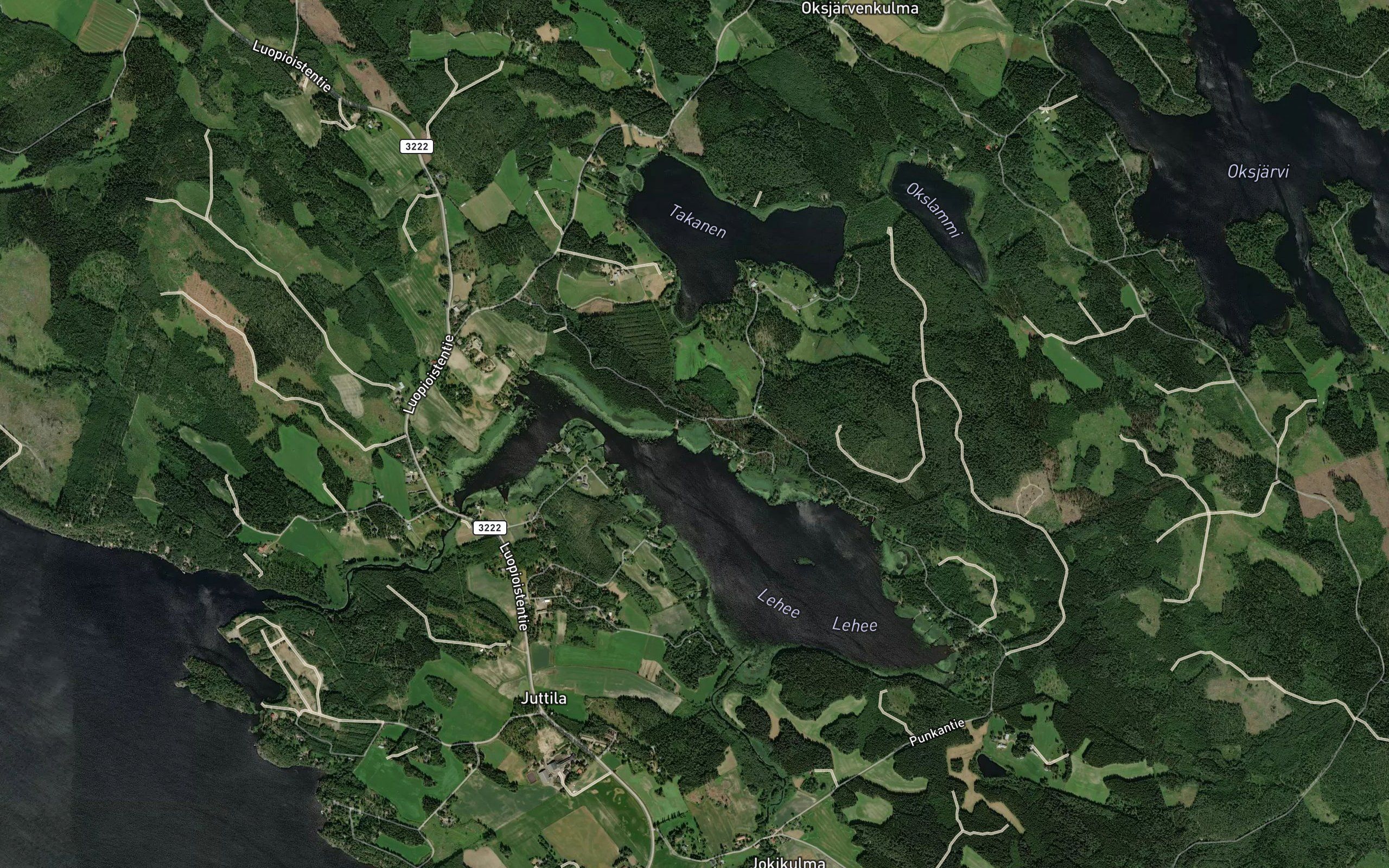 Kurtonoja