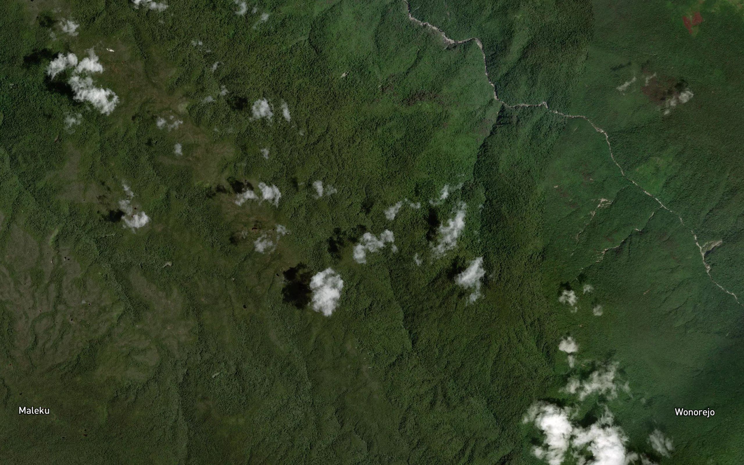 Koro Paroawa