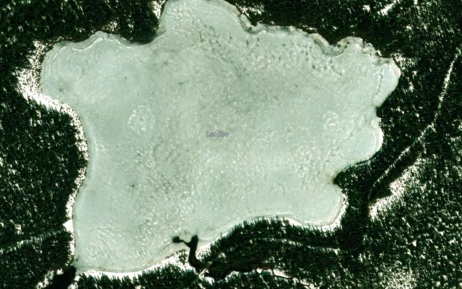 Satellite map of the Lac Zoo