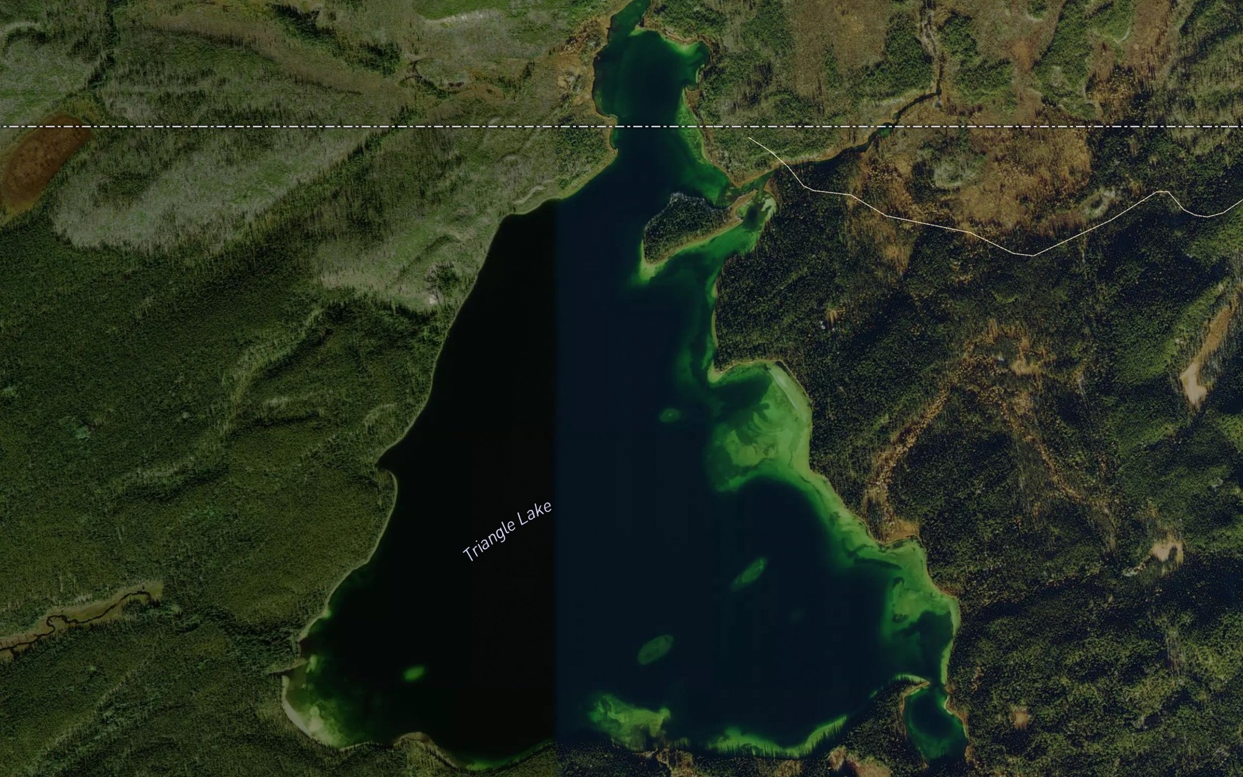 Satellite map of the Triangle Lake