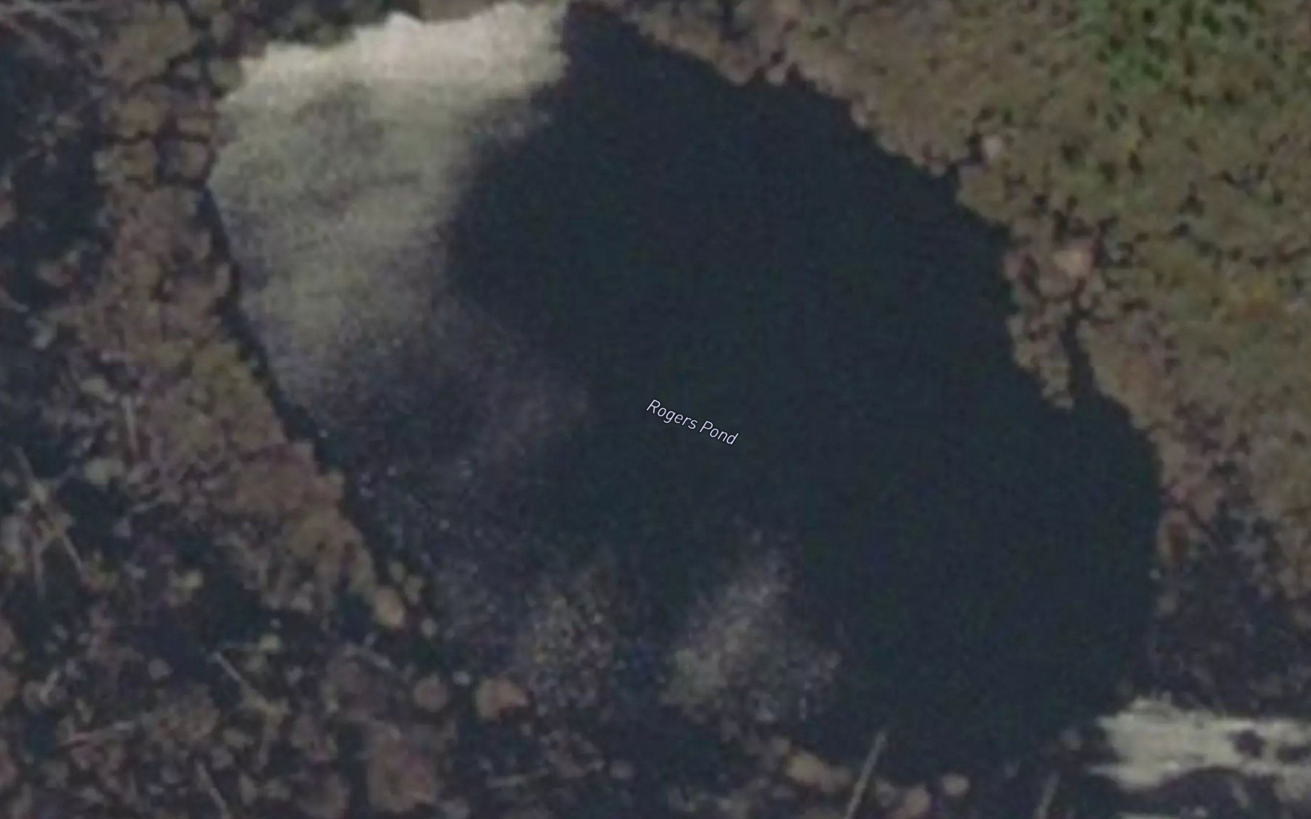 Rogers Pond