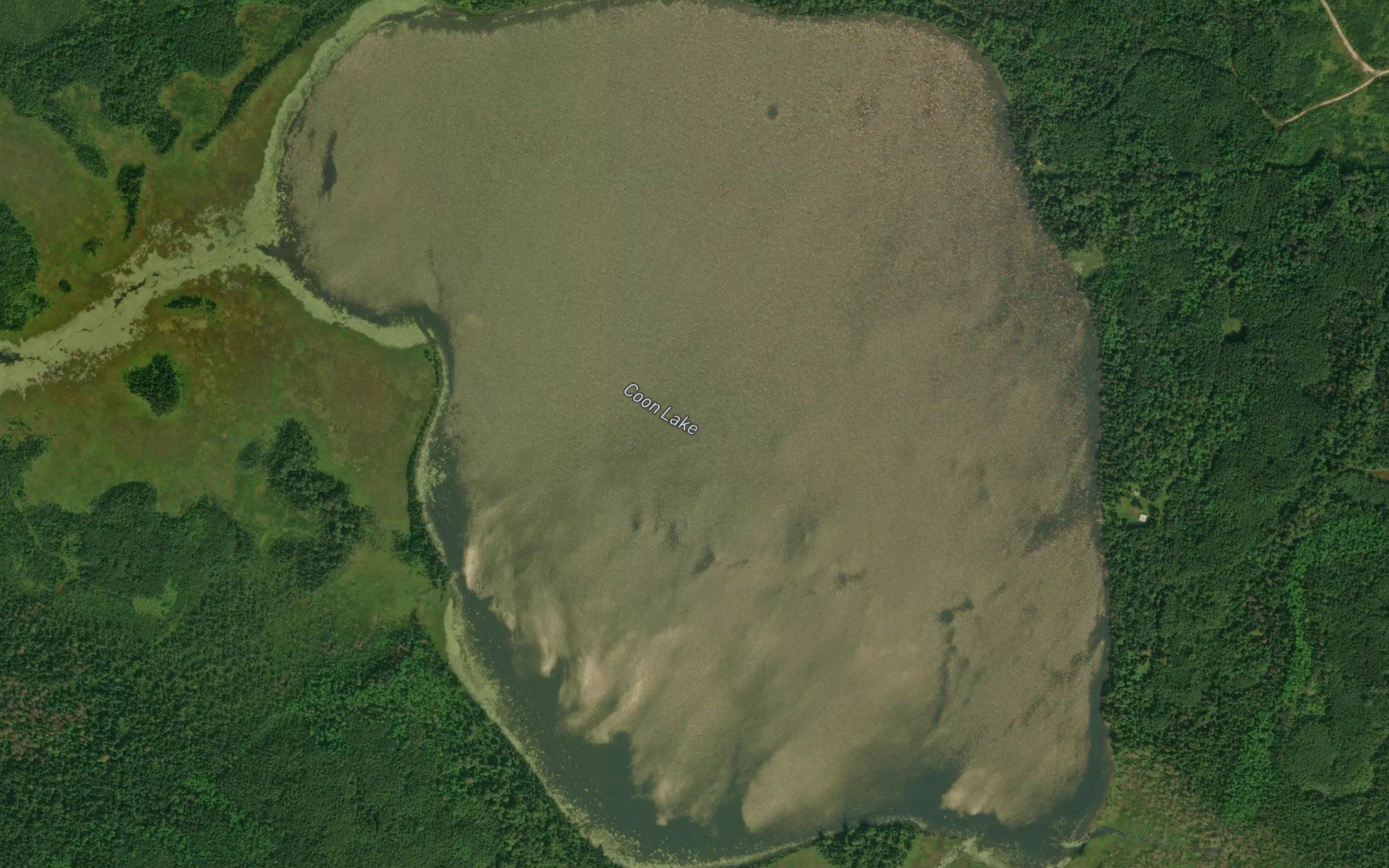 Coon Lake
