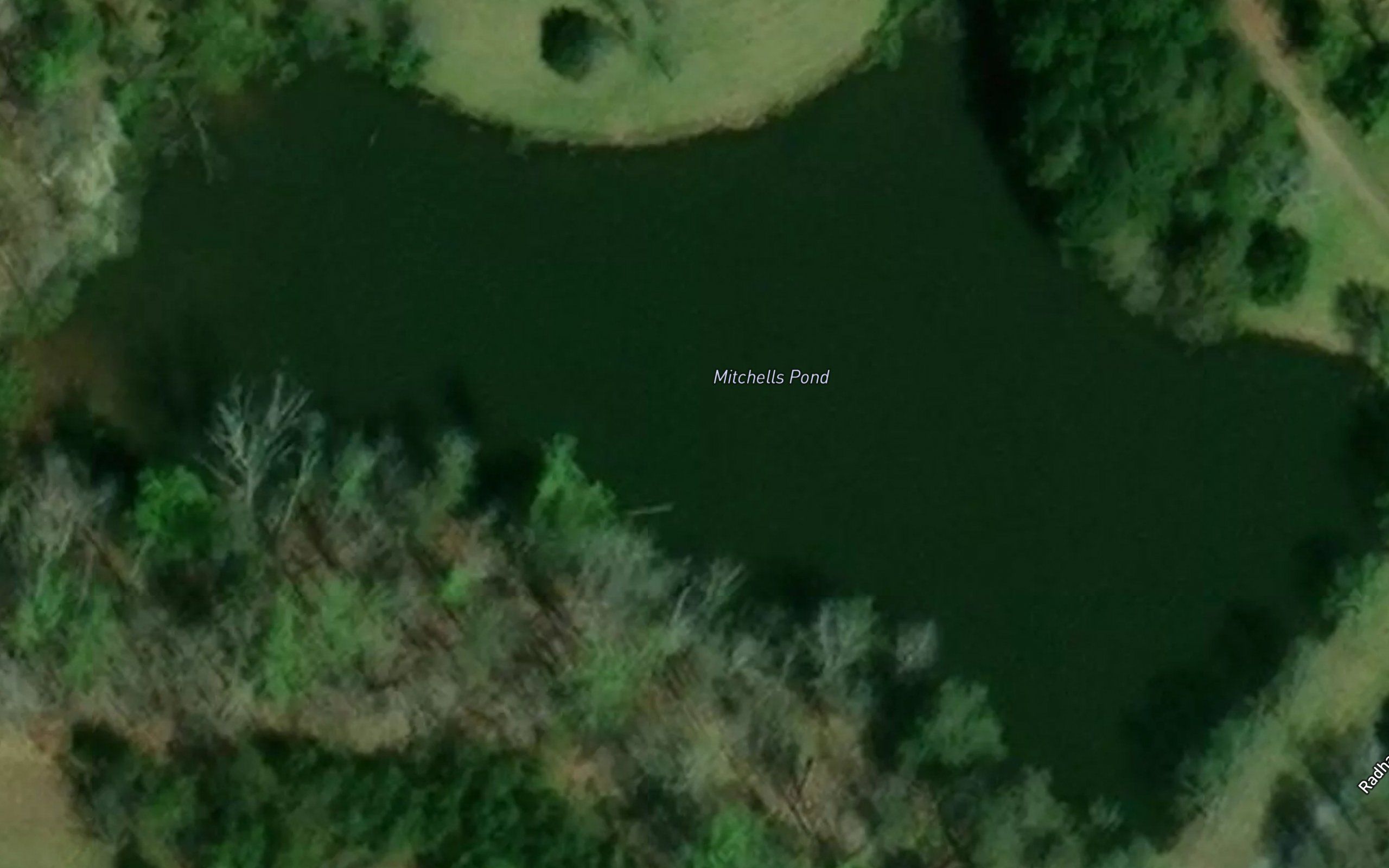 Mitchells Pond