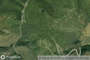 Right Fork Long Branch