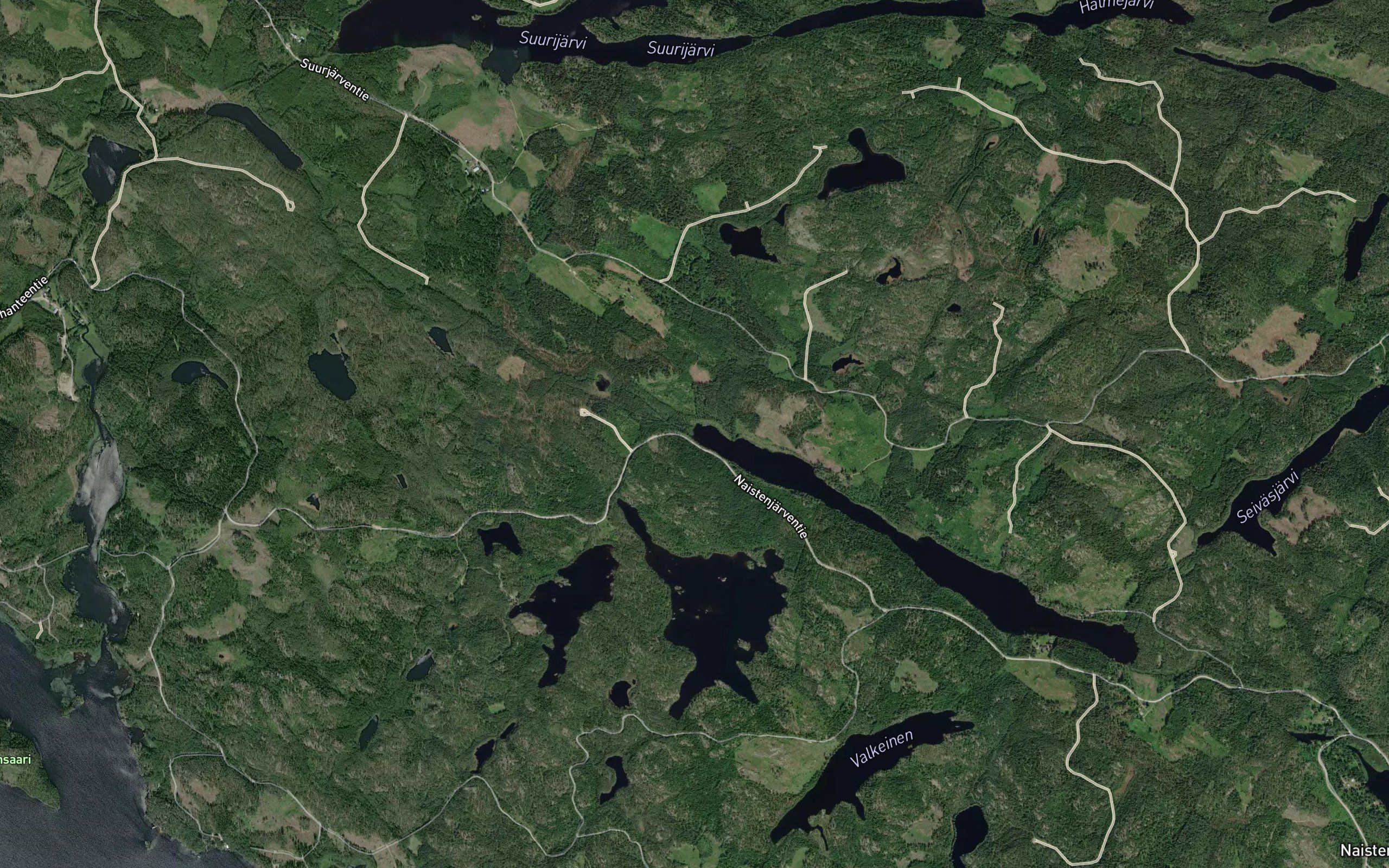 Haukilamminoja