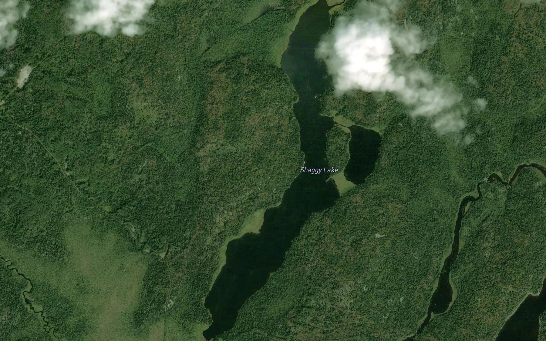Satellite map of the Shaggy Lake