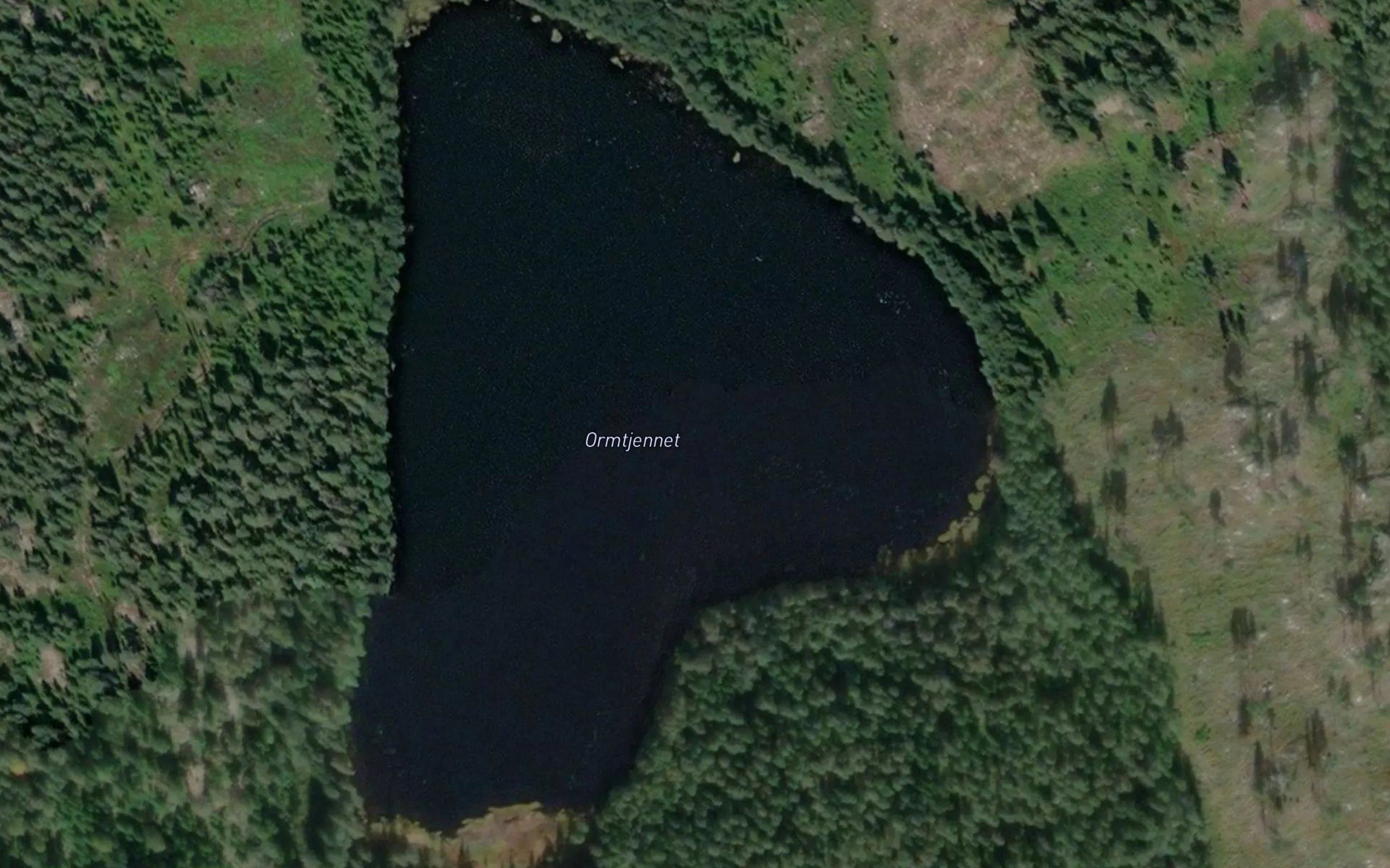 Ormtjernet