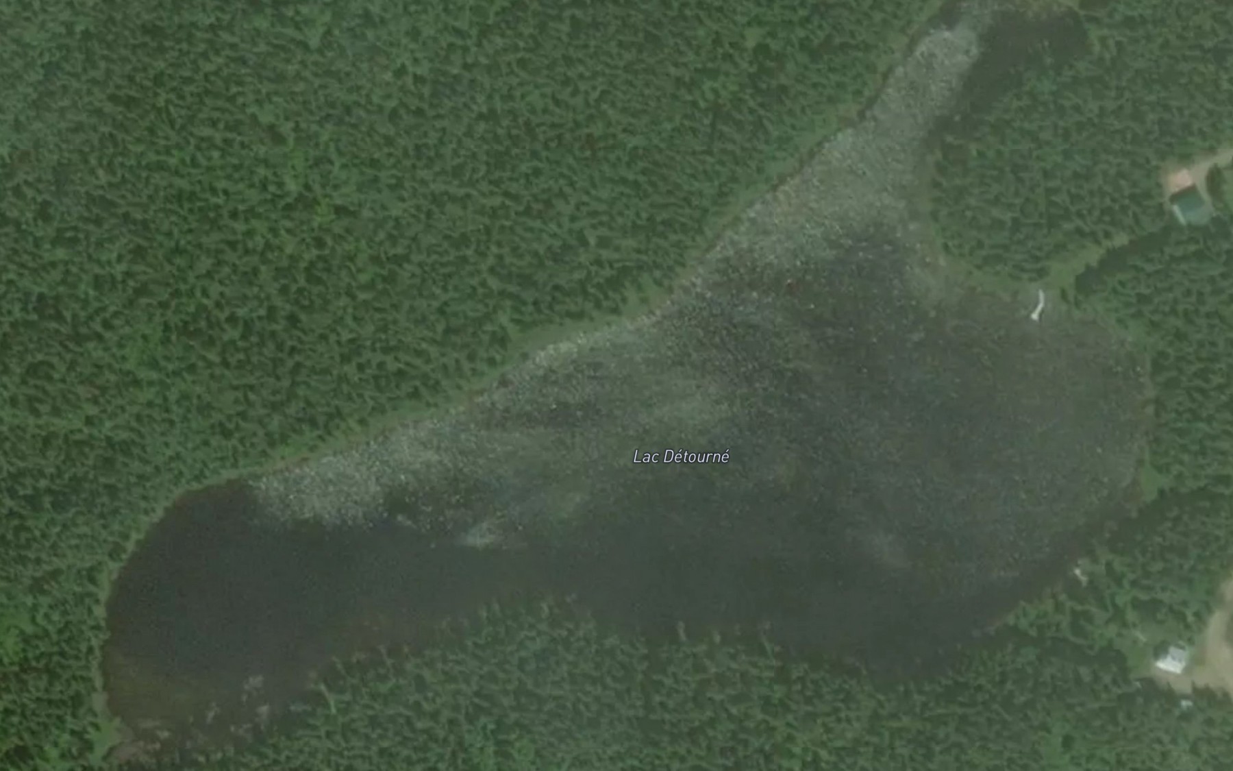 Satellite map of the Lac Detourne