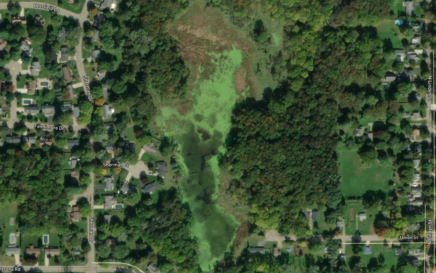 Satellite map of the Sherman Court Pond