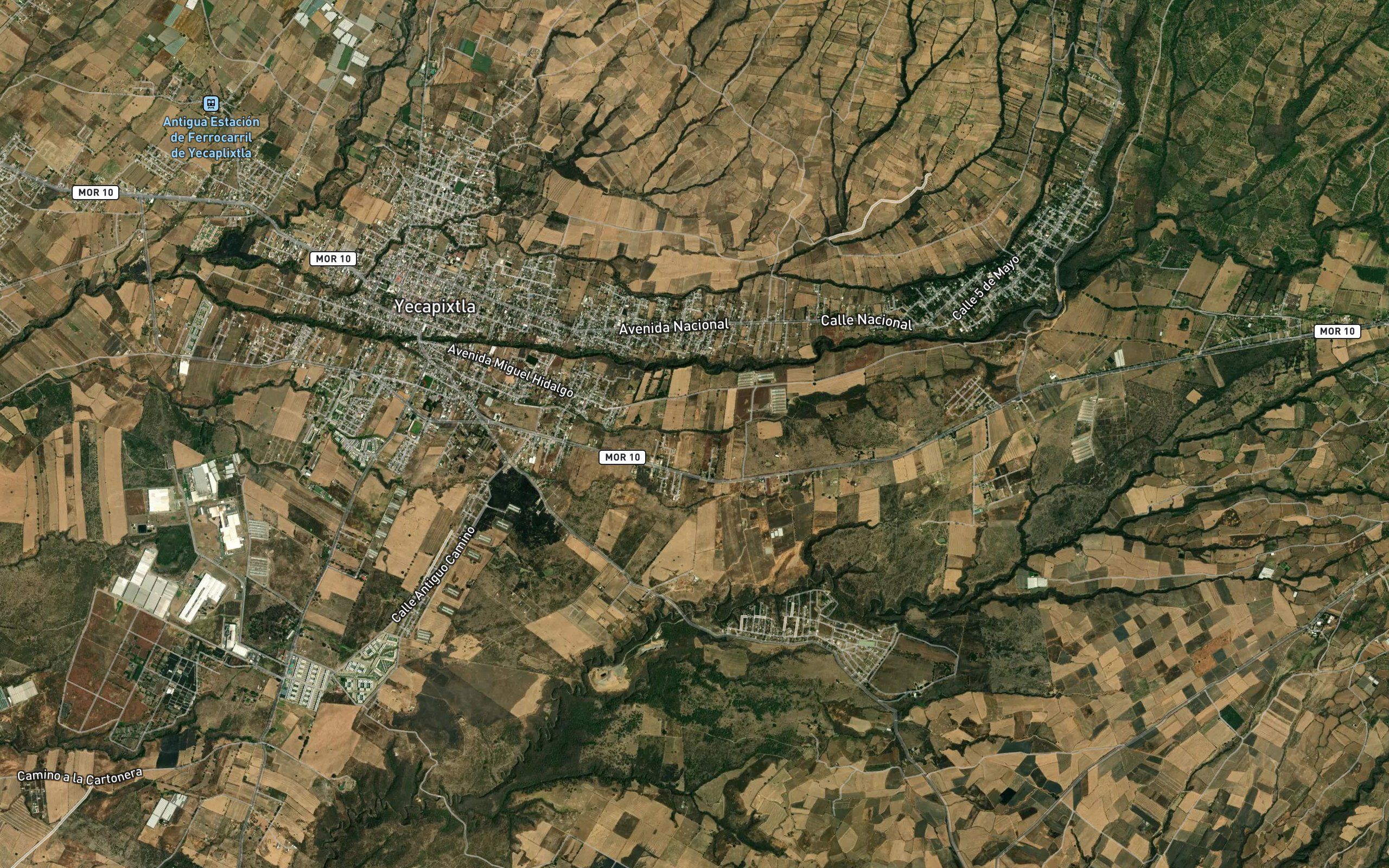 Izote