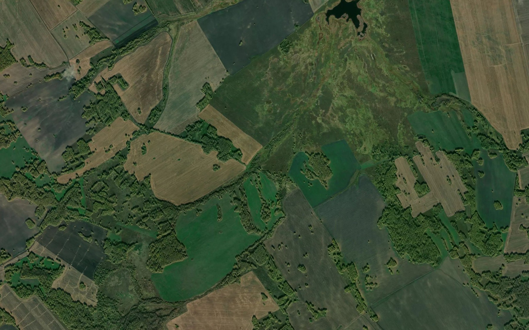 Satellite map of the Log Proskokushka Vtoraya