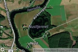 Nusttjernet