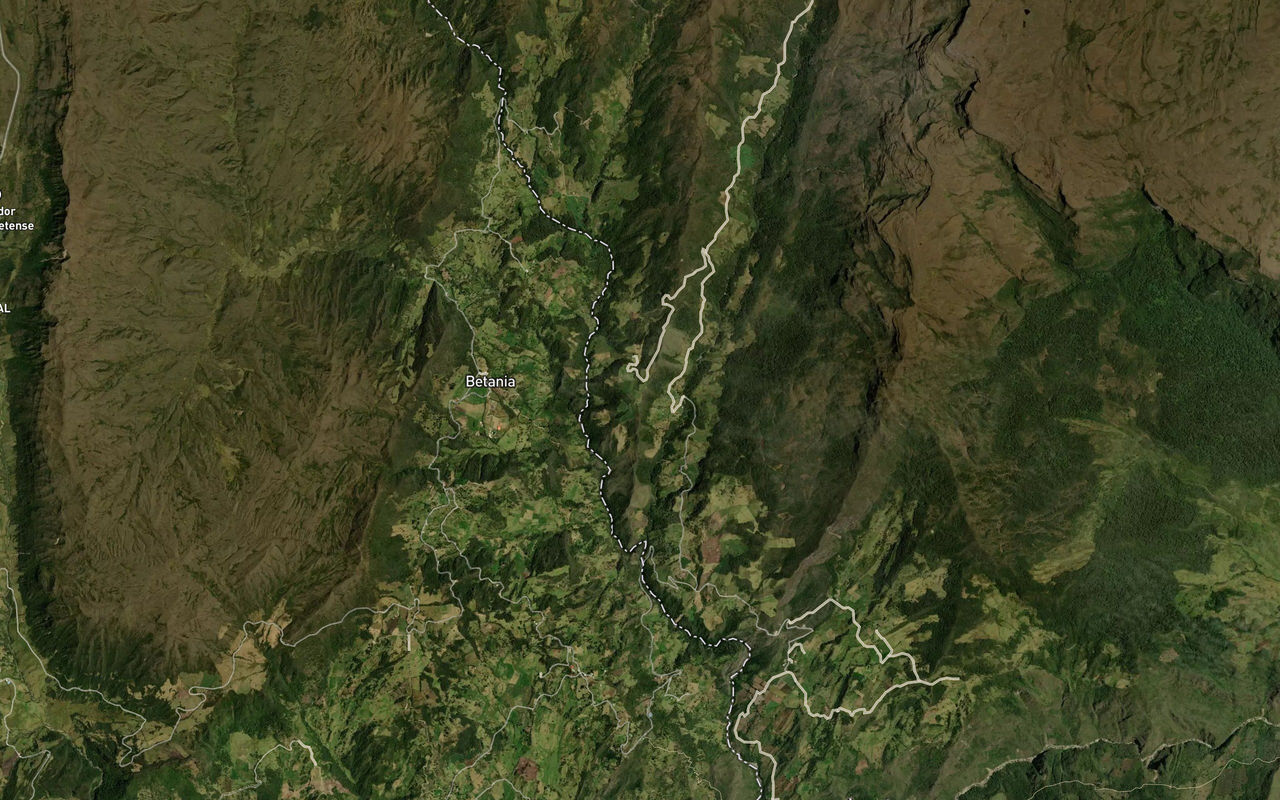 Quebrada Palmar de Abajo