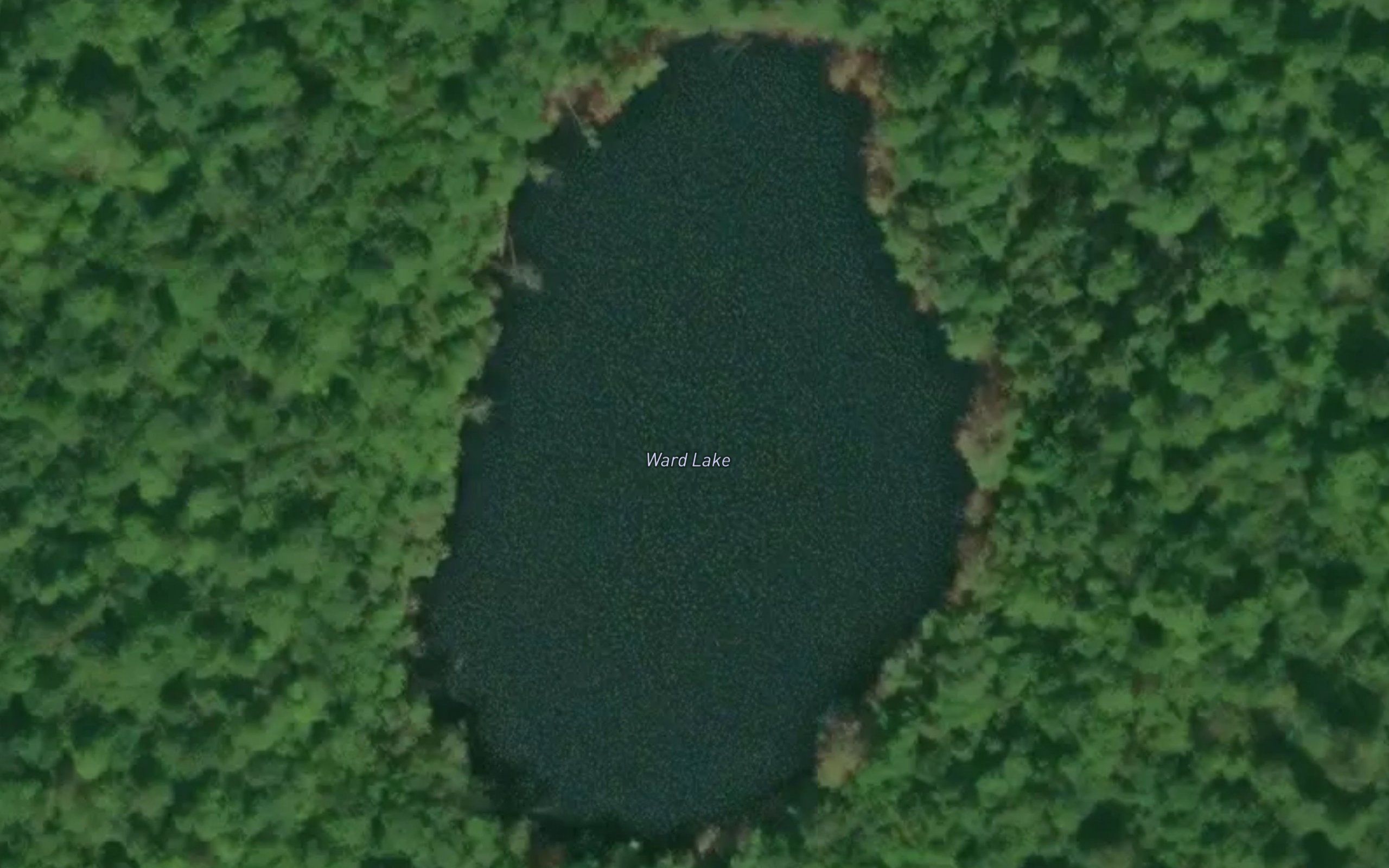 Ward Lake