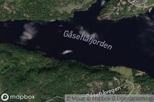 Gaseflafjorden