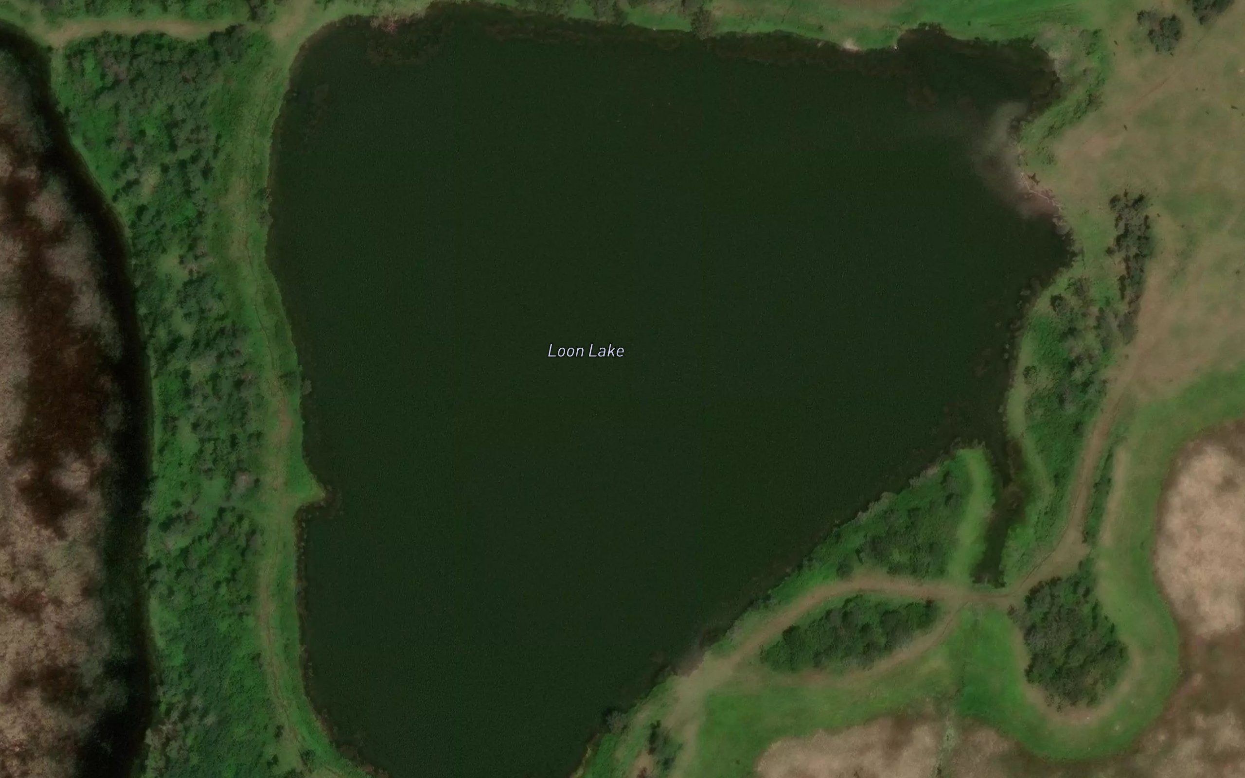 Loon Lake